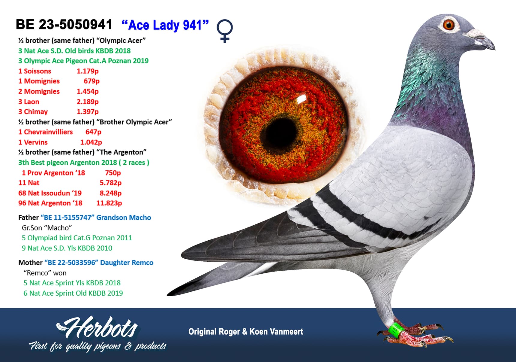 ‘Ace Lady 941’