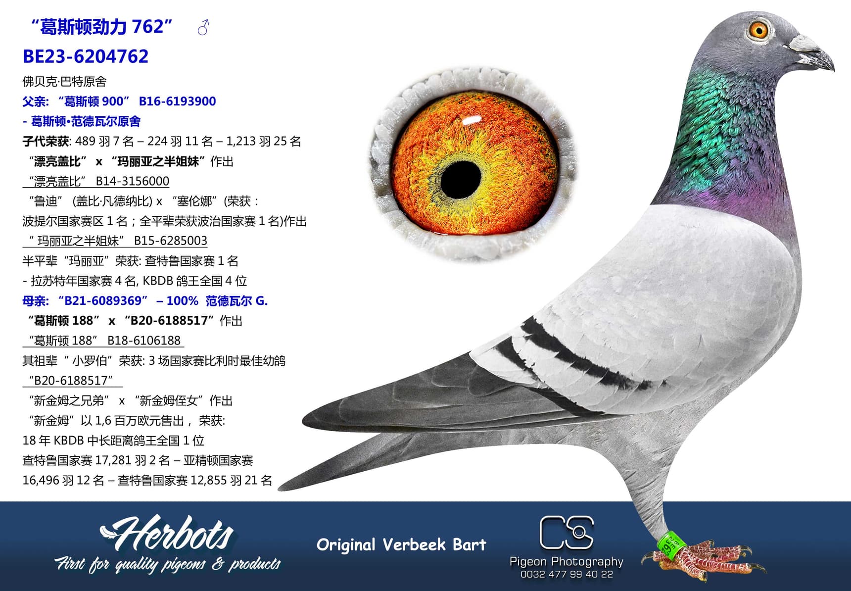 pigeon: undefined