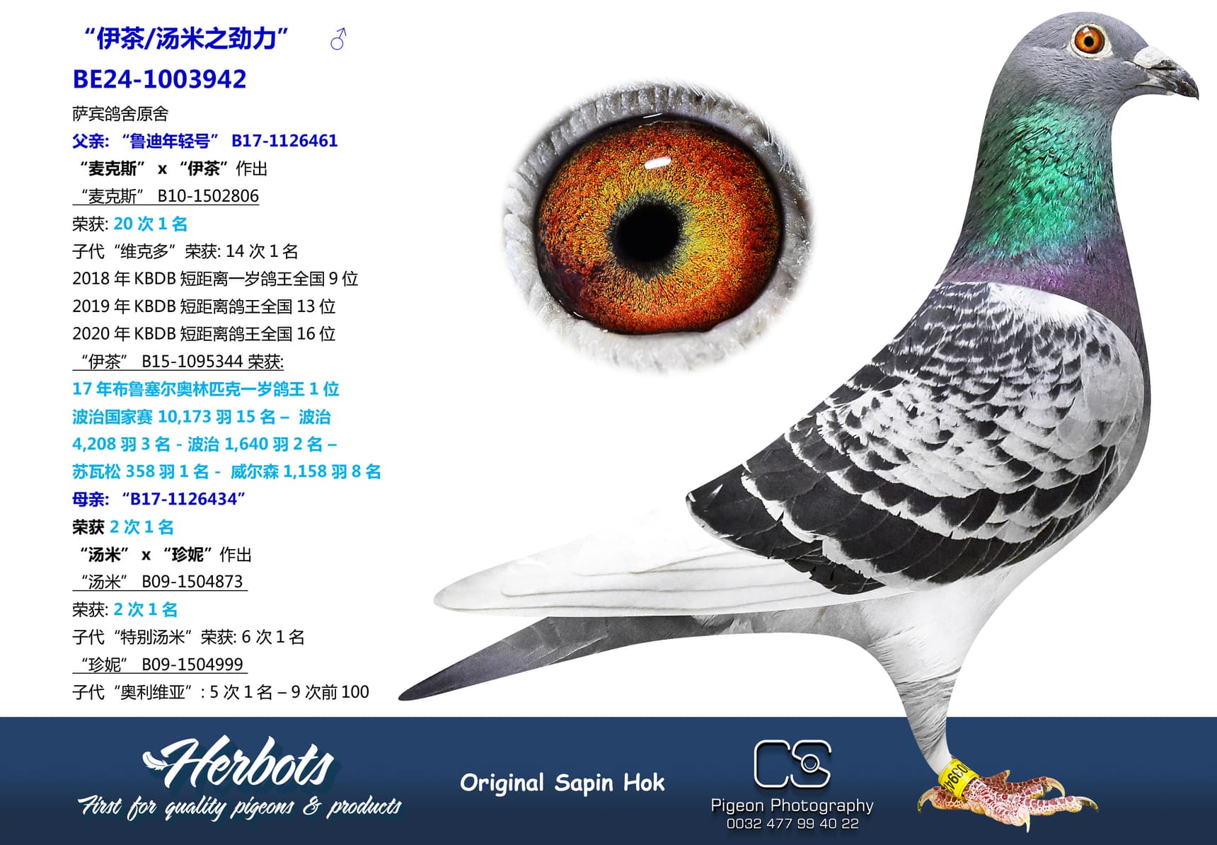 pigeon: undefined