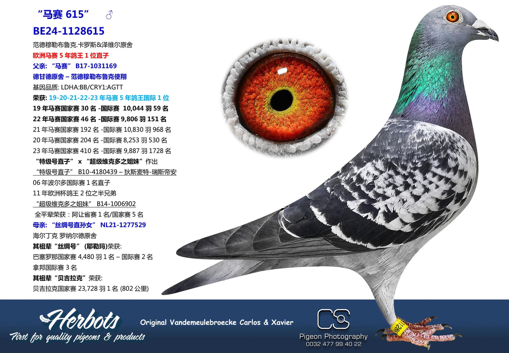 pigeon: undefined