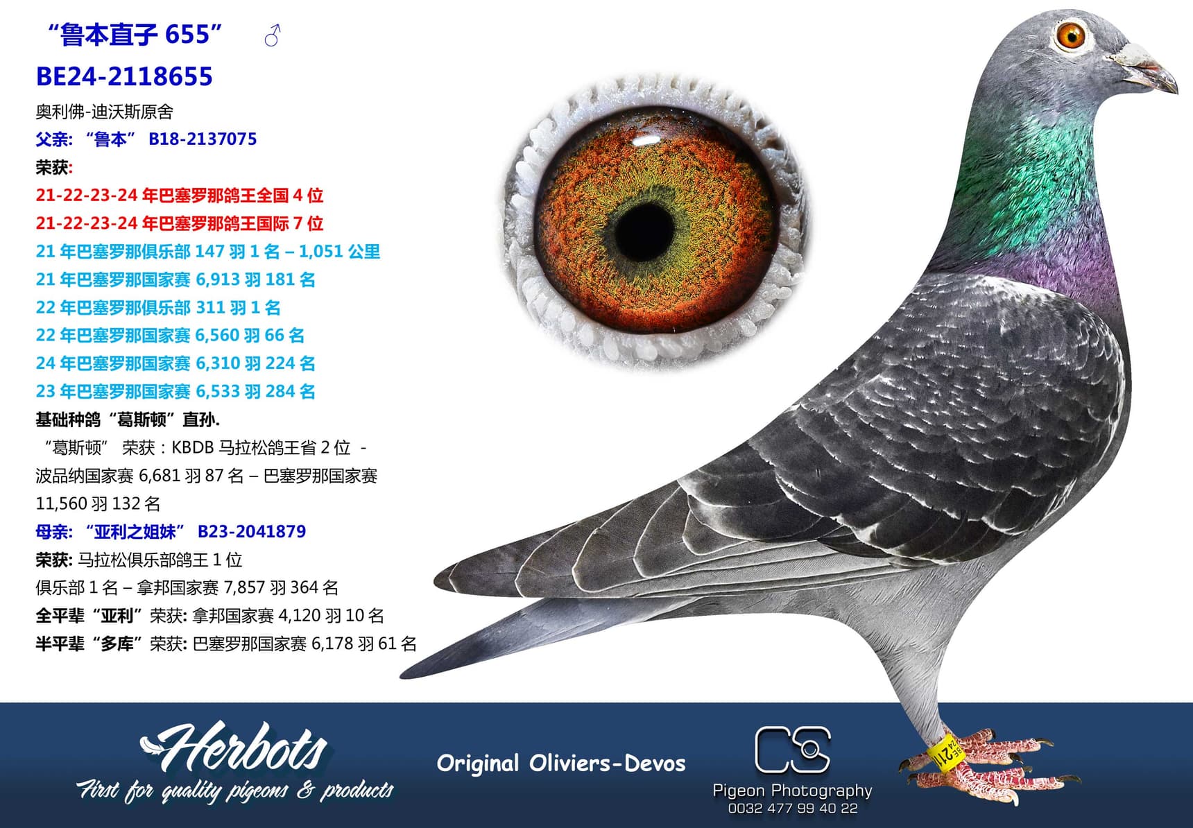 pigeon: undefined