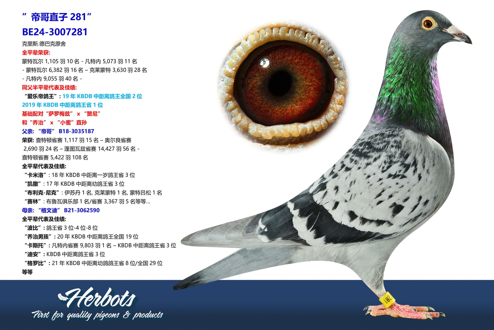 pigeon: undefined