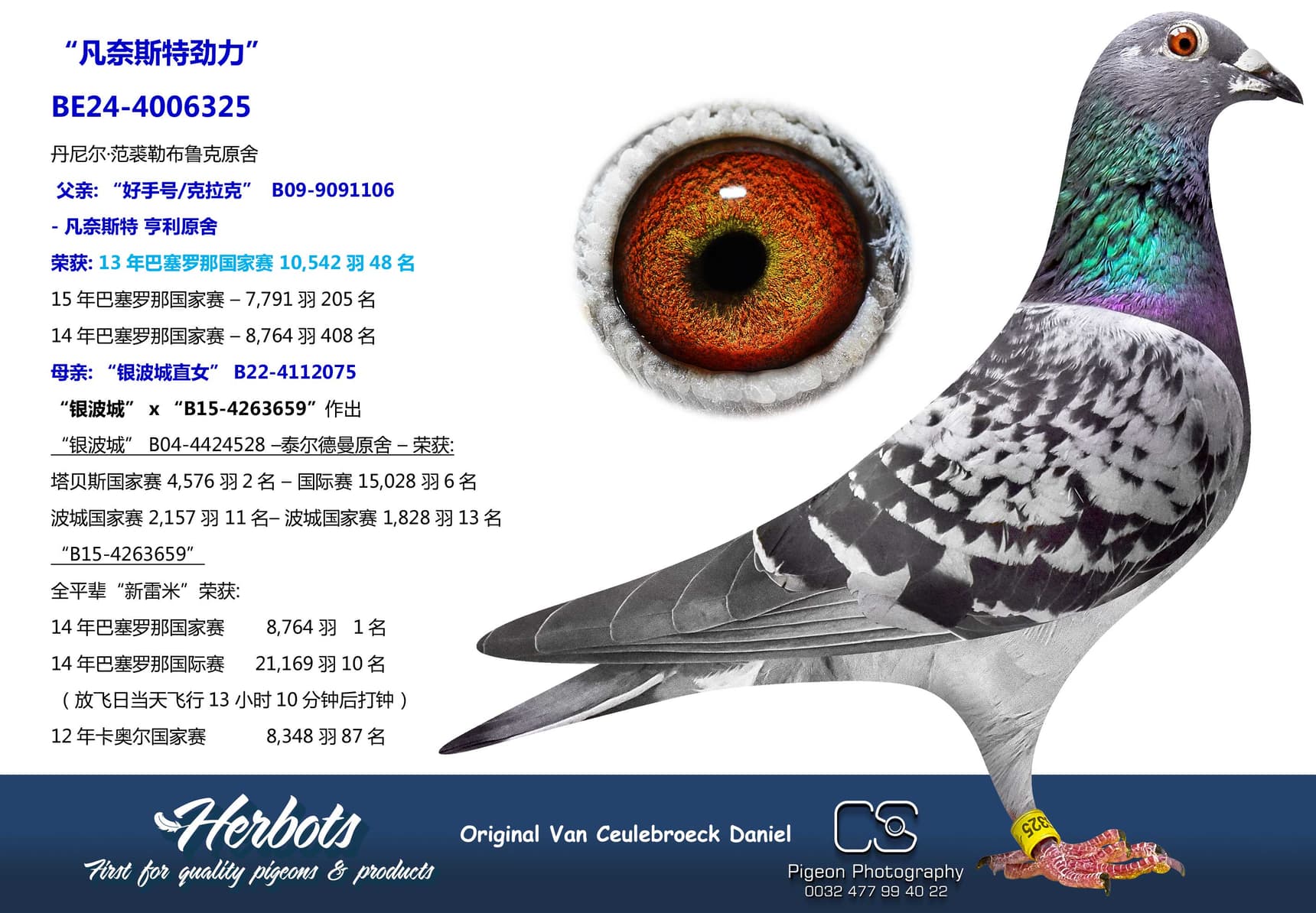 pigeon: undefined
