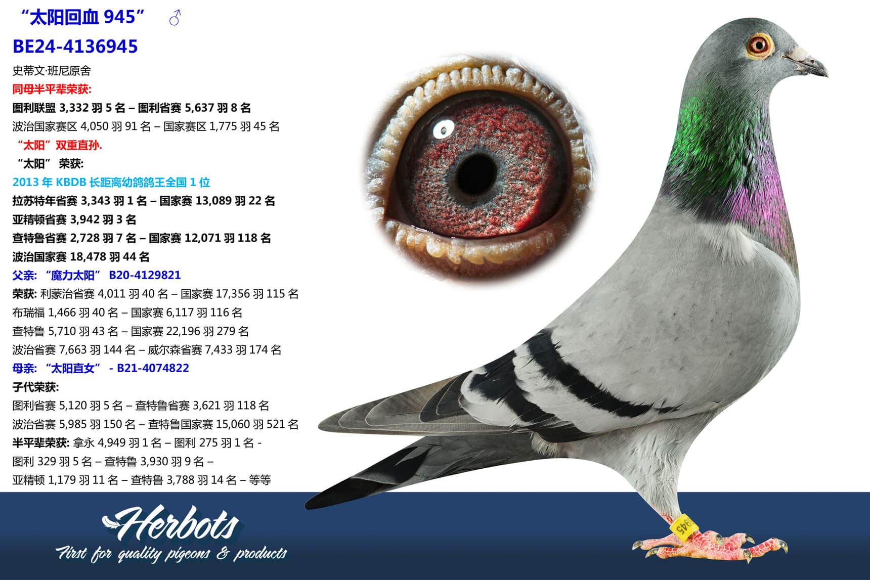pigeon: undefined