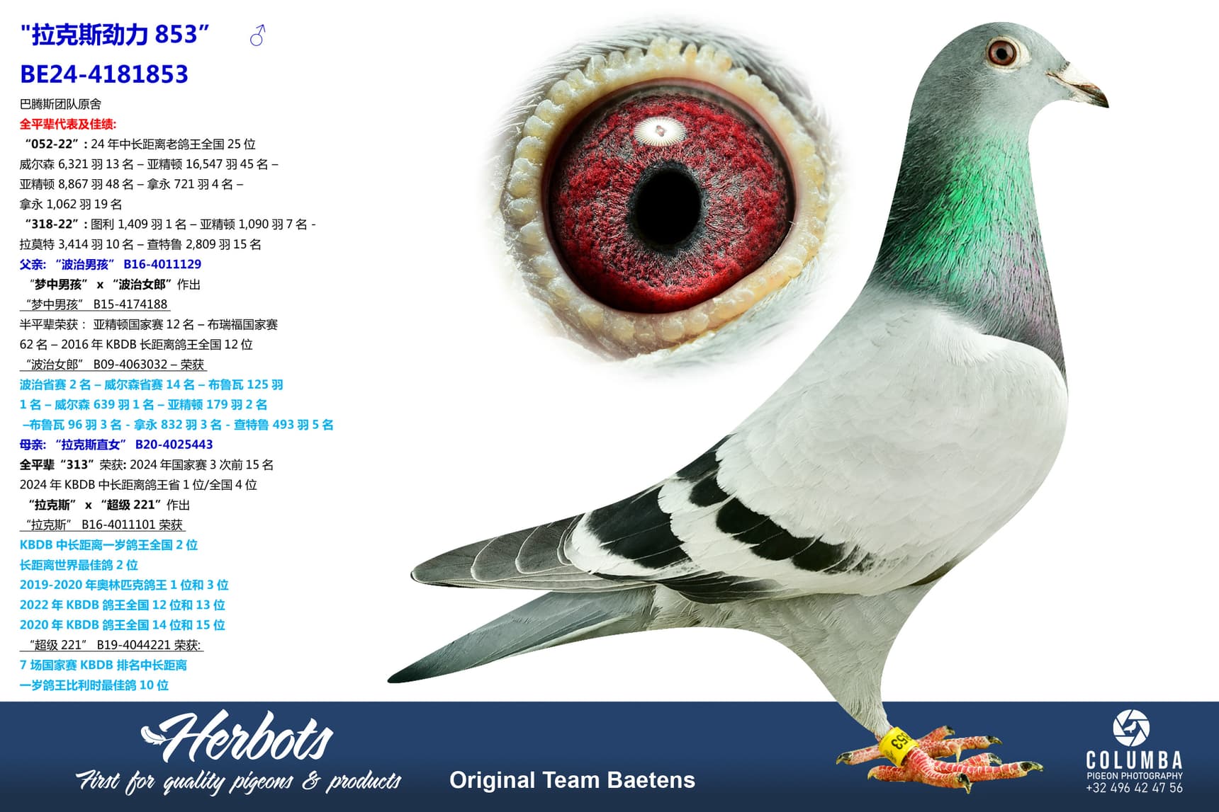 pigeon: undefined