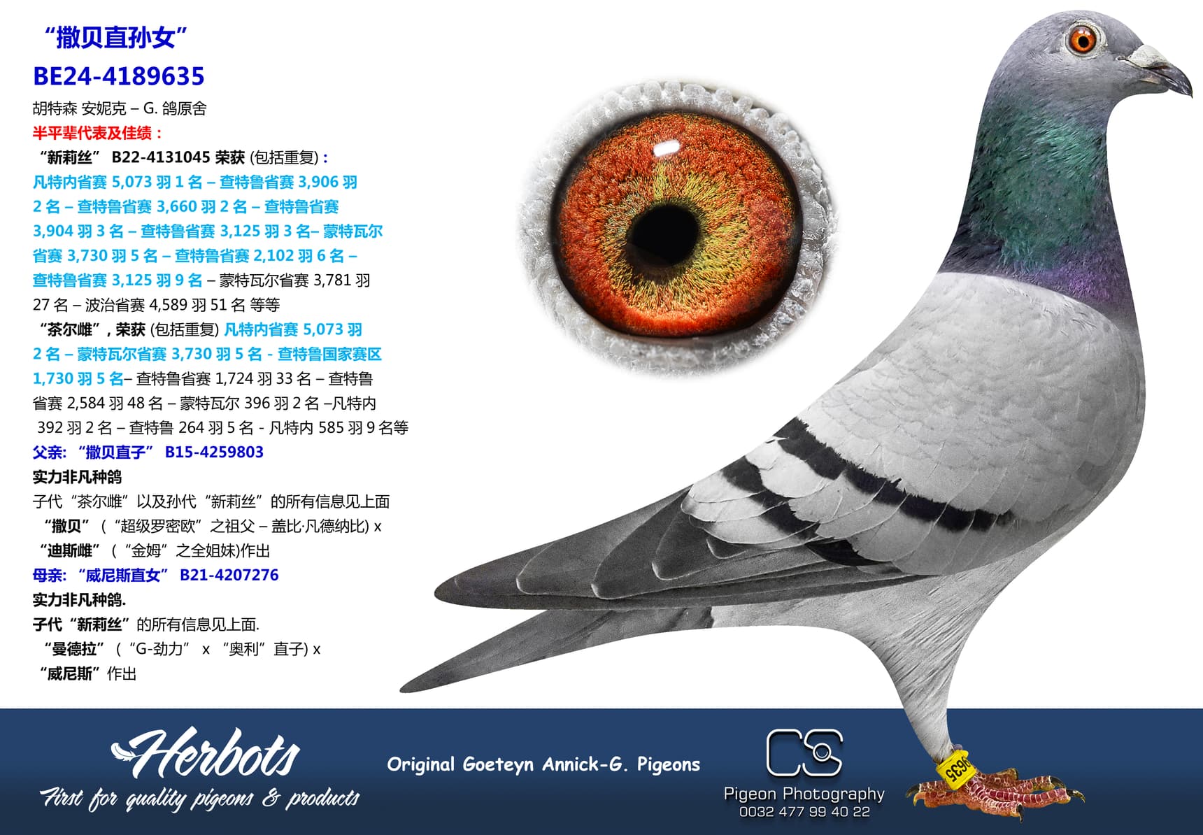pigeon: undefined