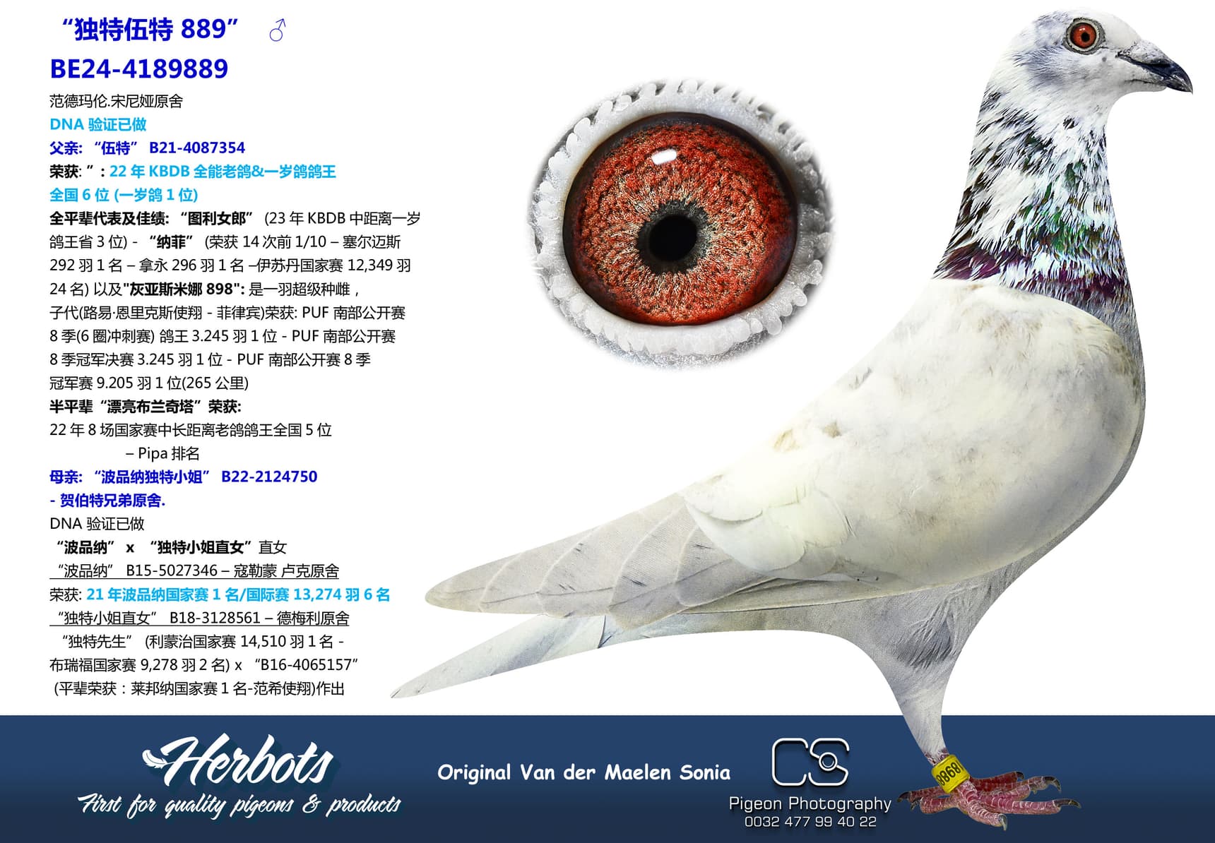 pigeon: undefined