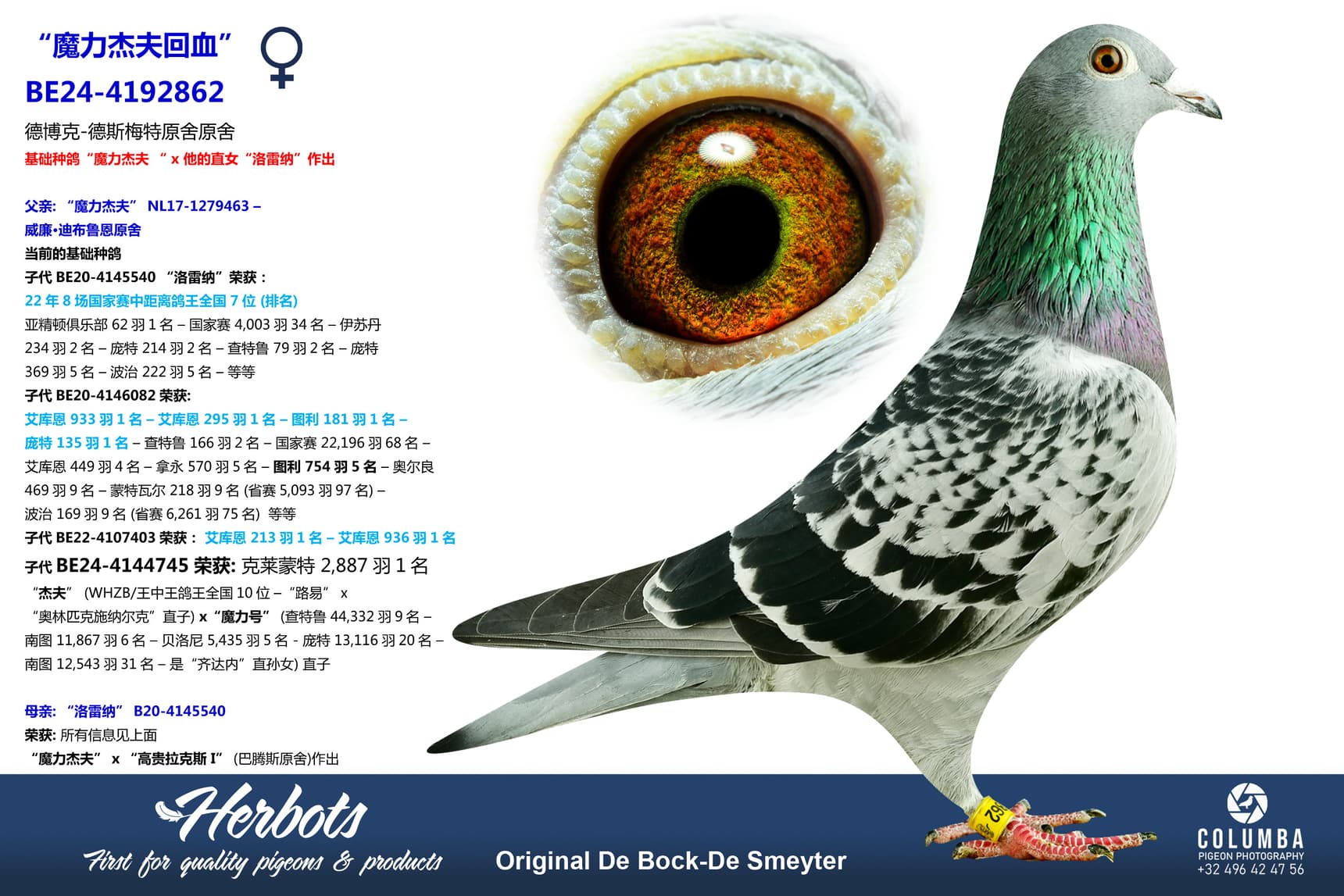 pigeon: undefined