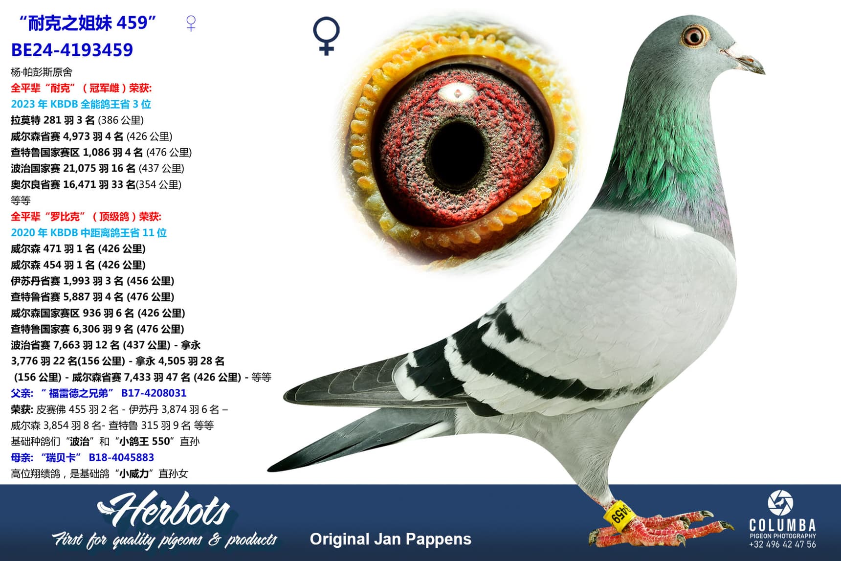 pigeon: undefined