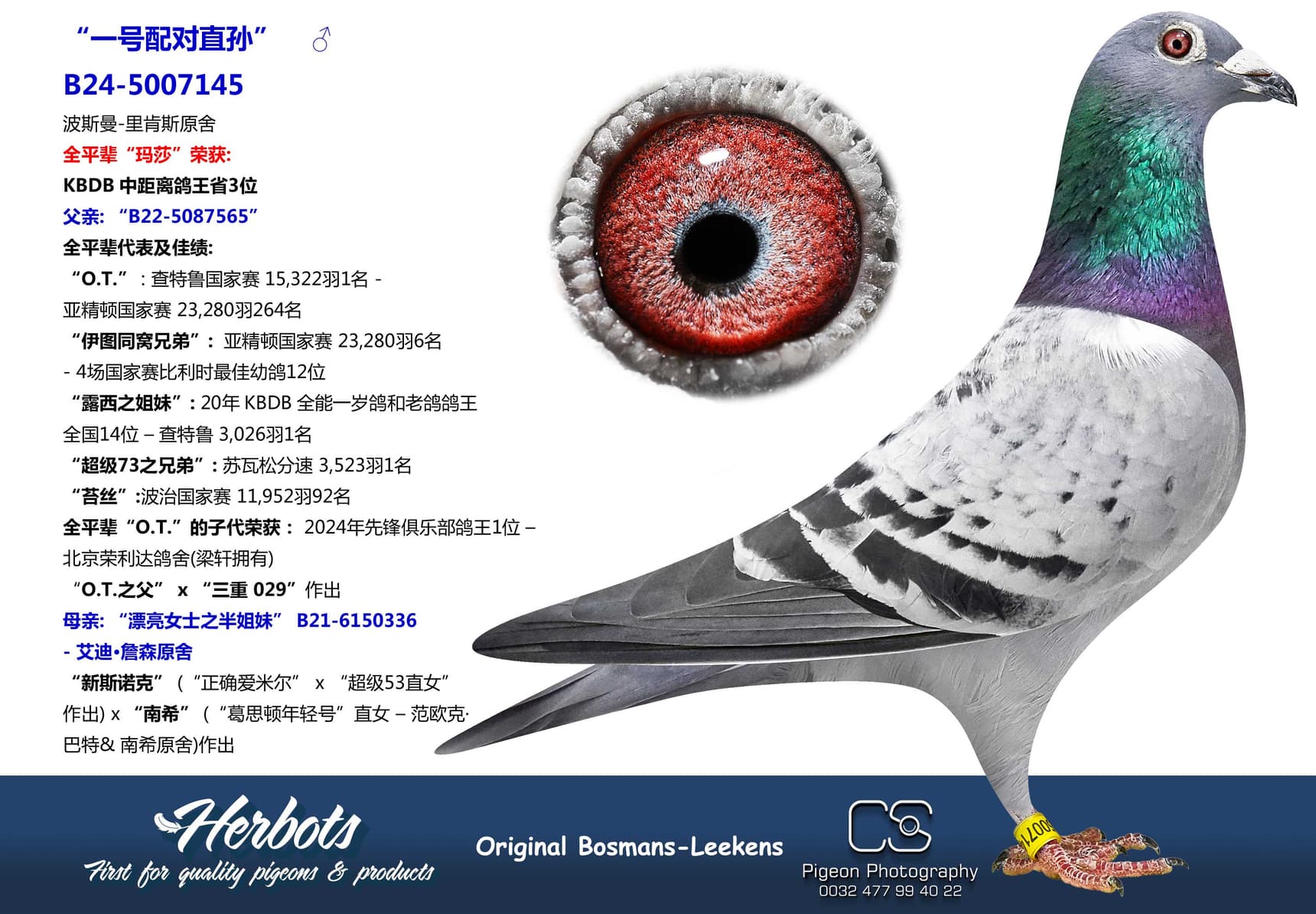 pigeon: undefined