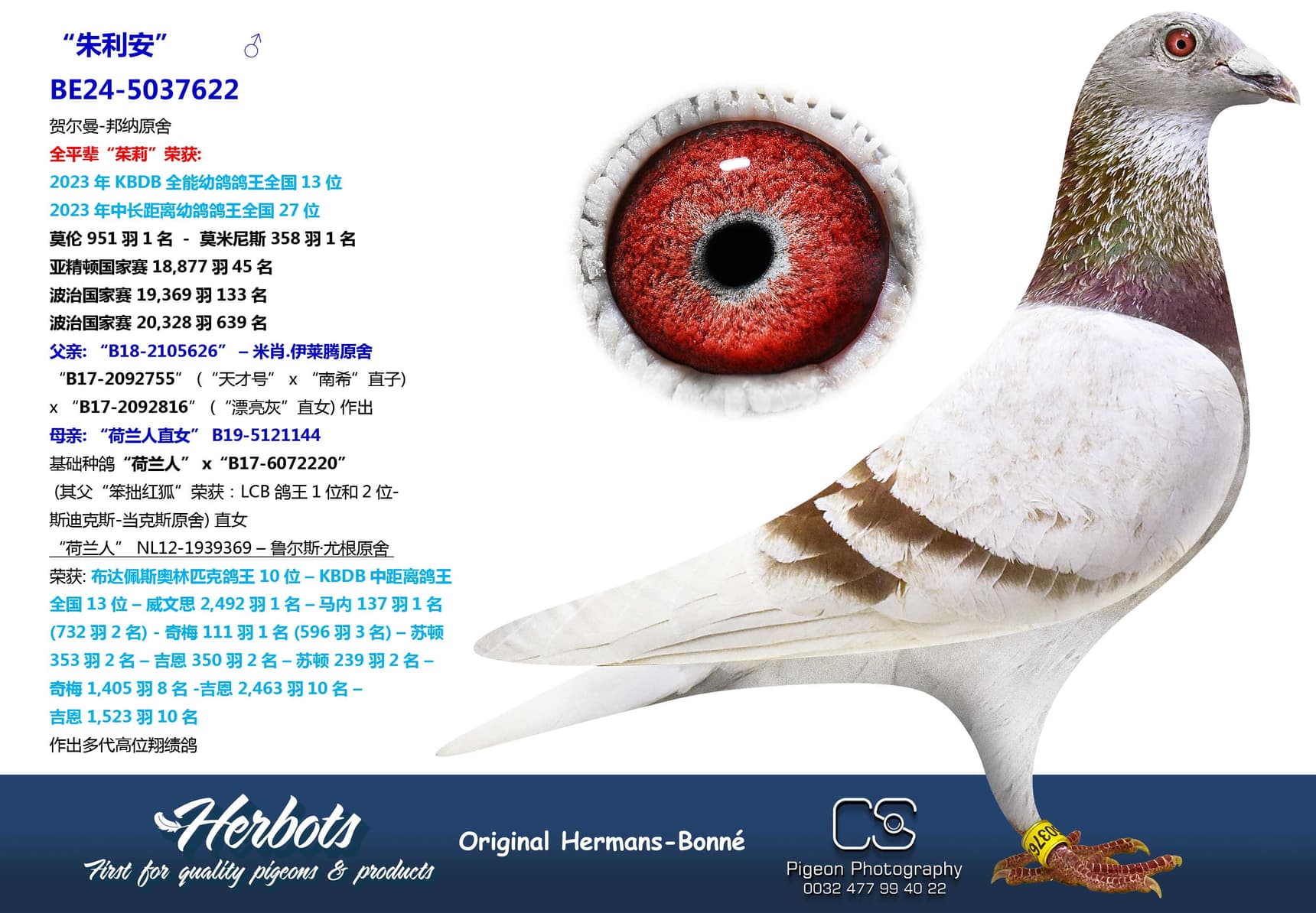pigeon: undefined