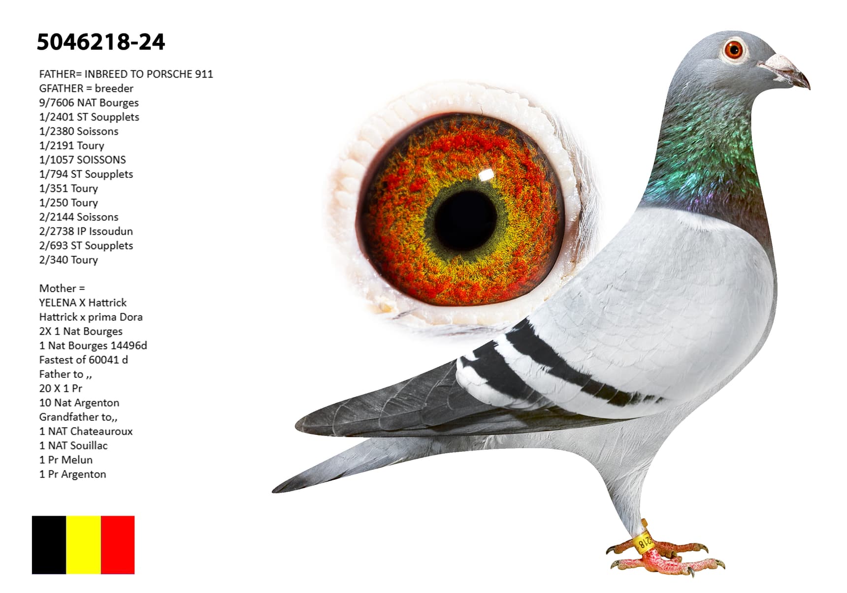 ‘GENO AG CCTT BIRD’