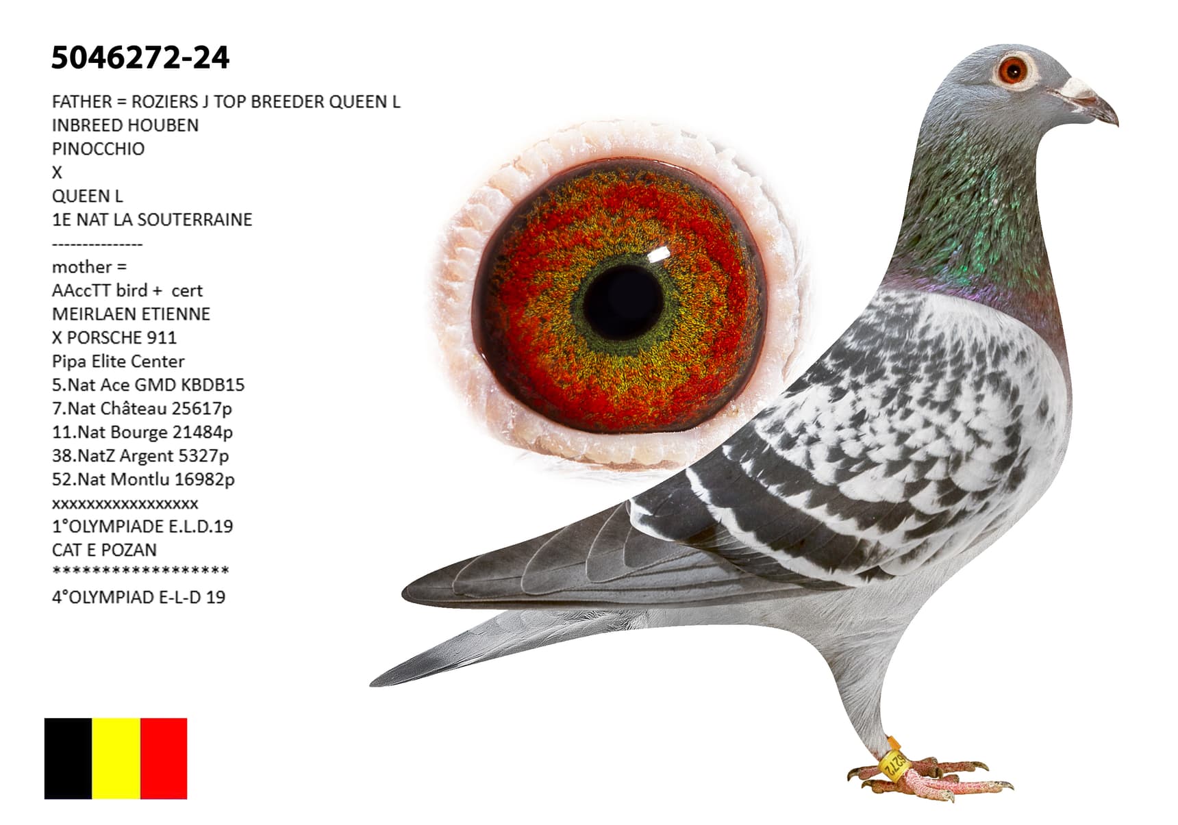 ‘GENO AG CCTT BIRD’