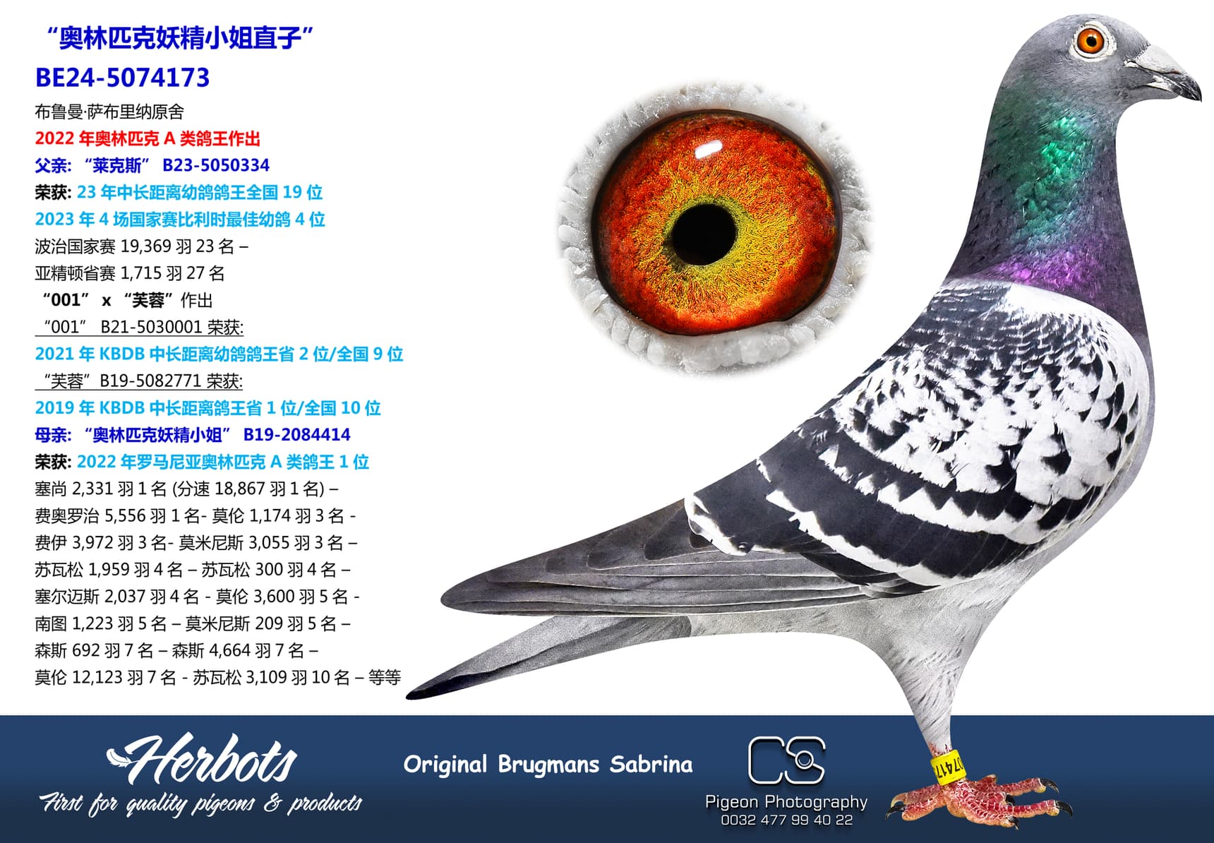 pigeon: undefined