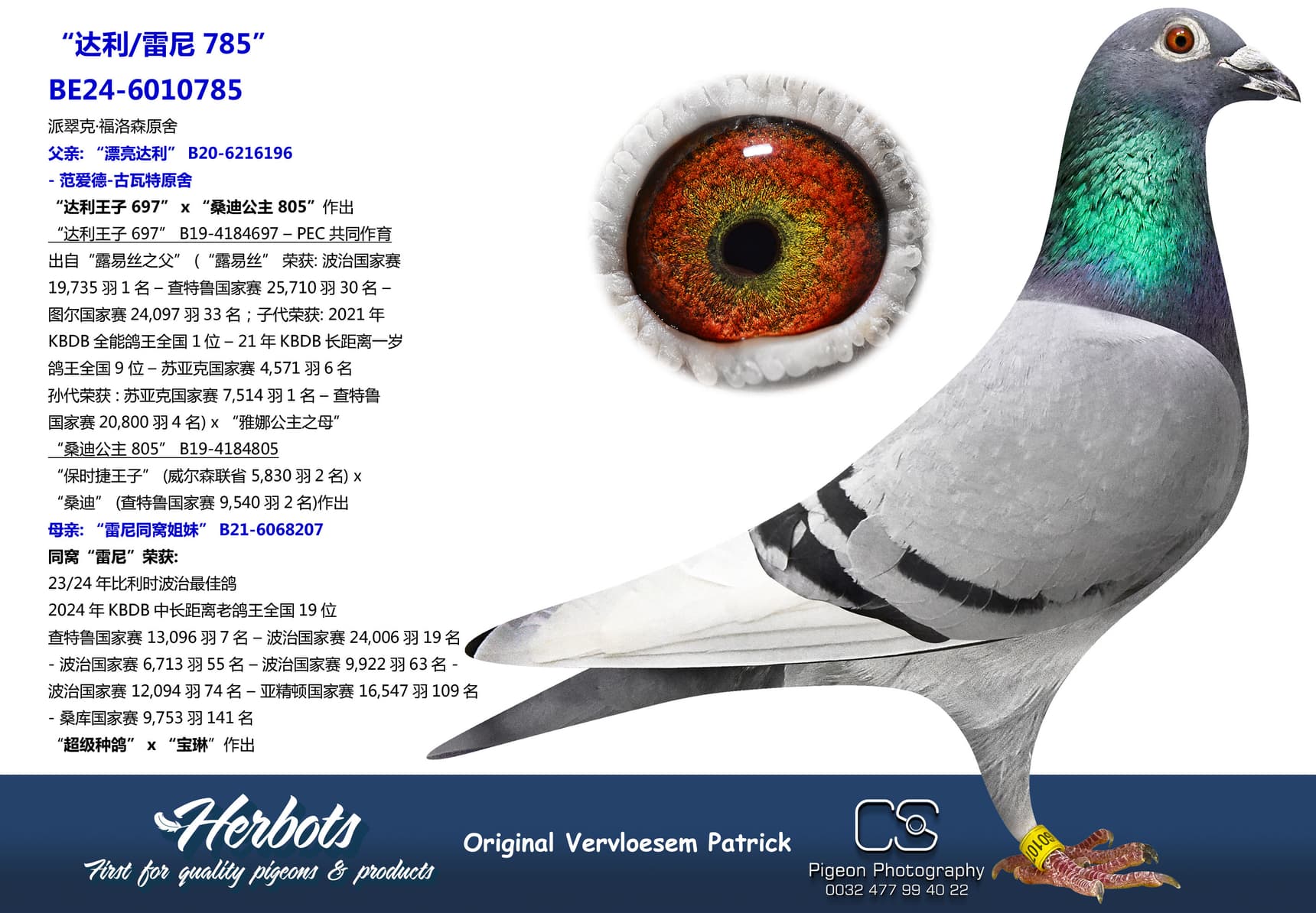 pigeon: undefined