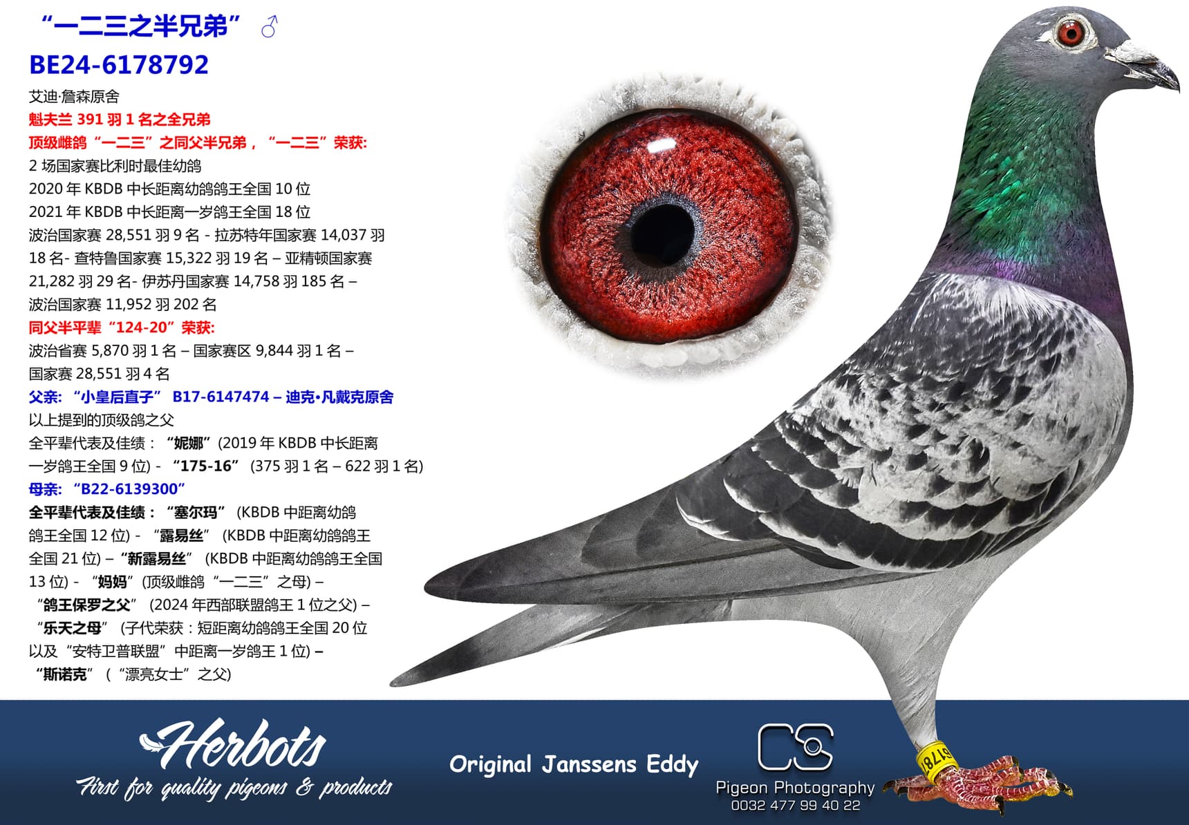 pigeon: undefined