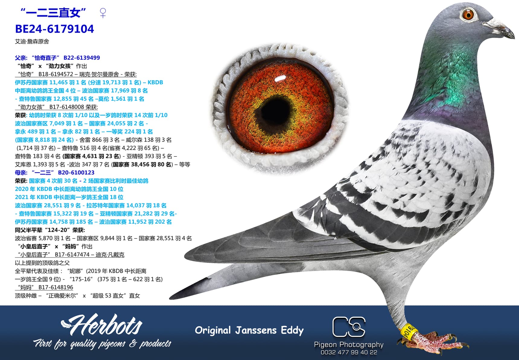 pigeon: undefined