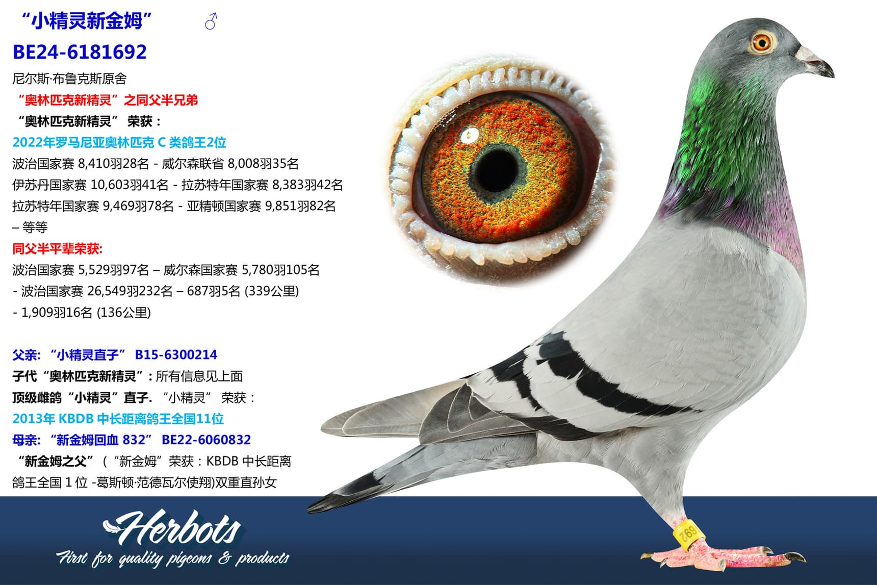 pigeon: undefined