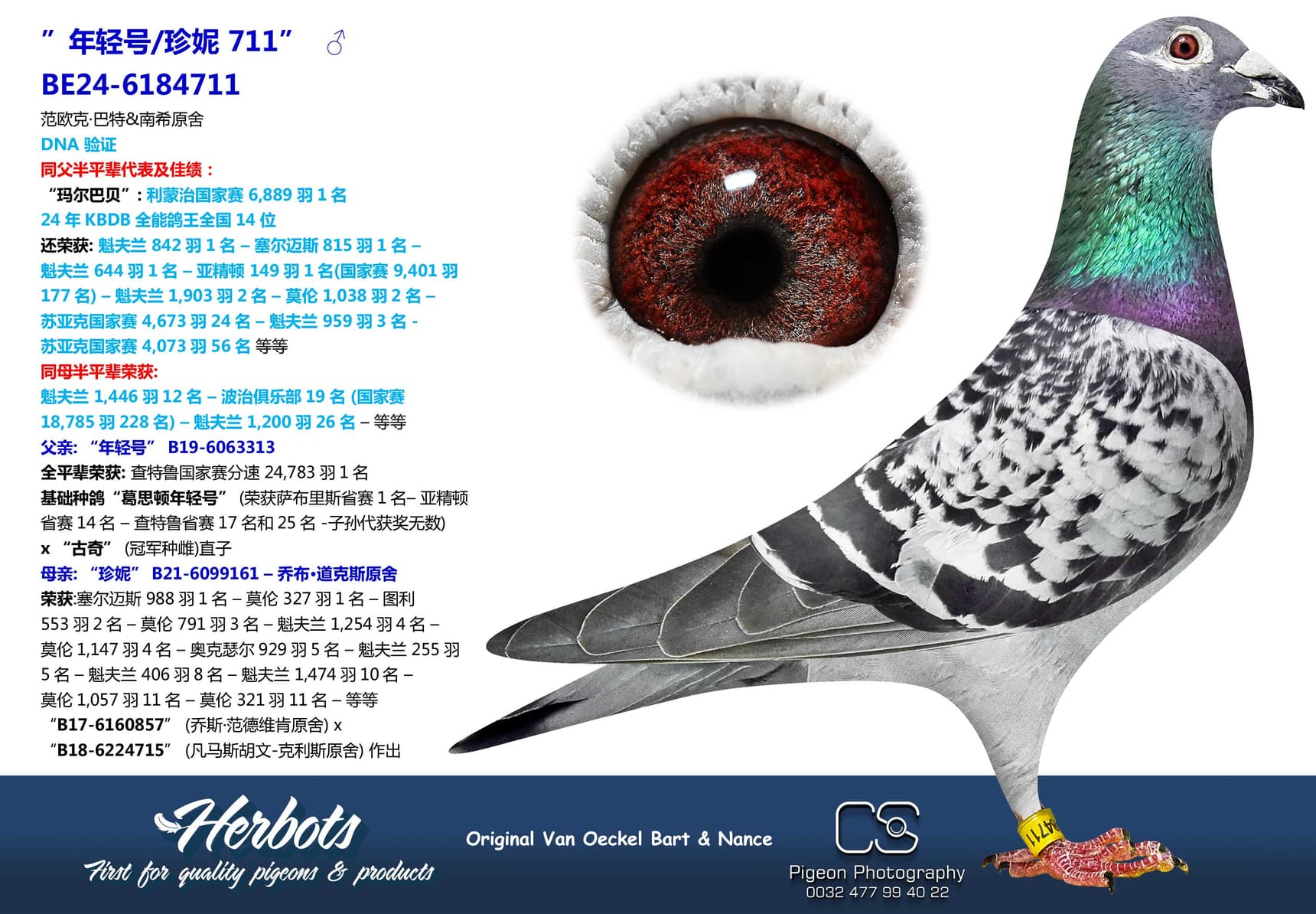 pigeon: undefined