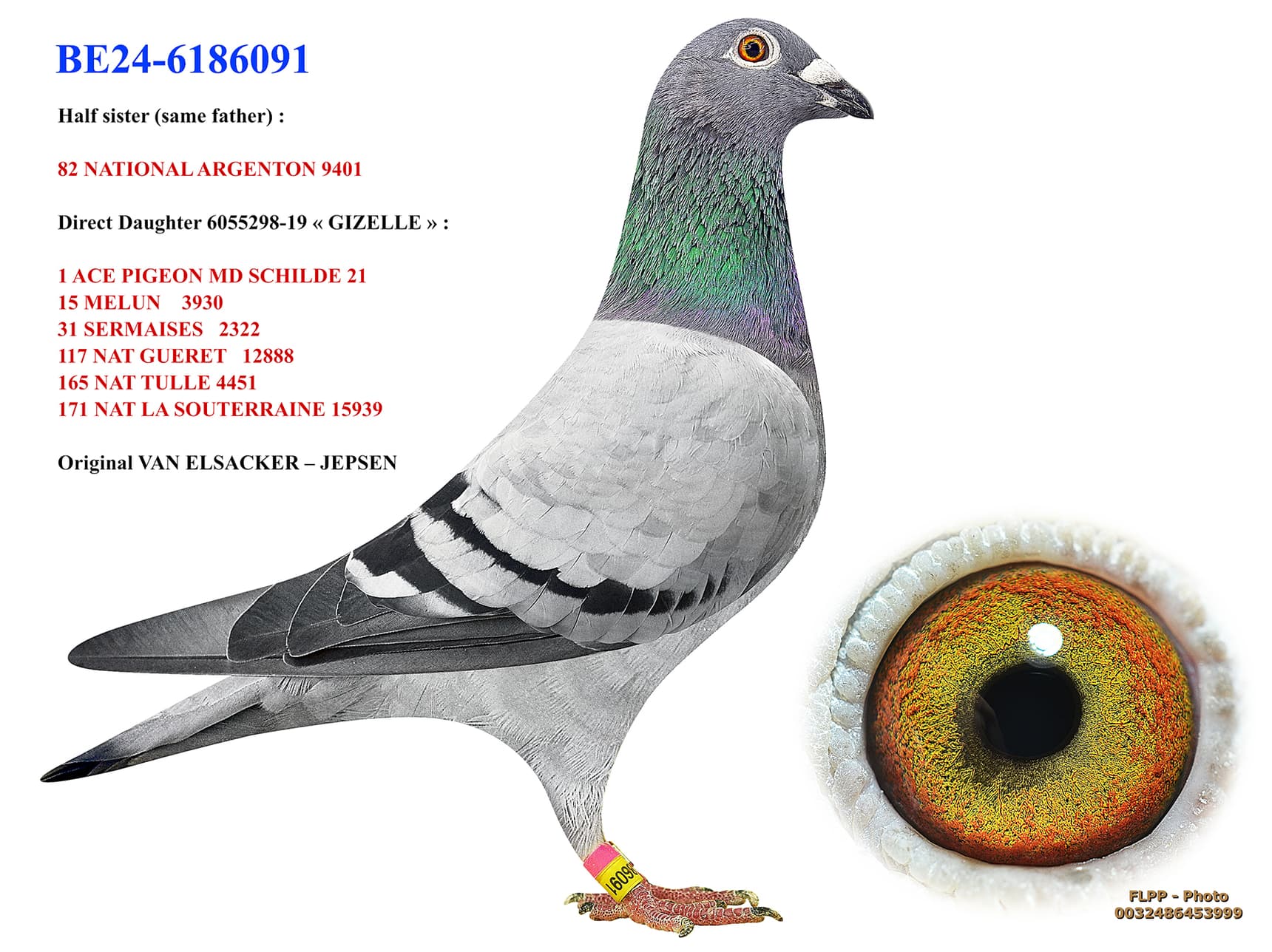 "Daughter Gizelle 091"