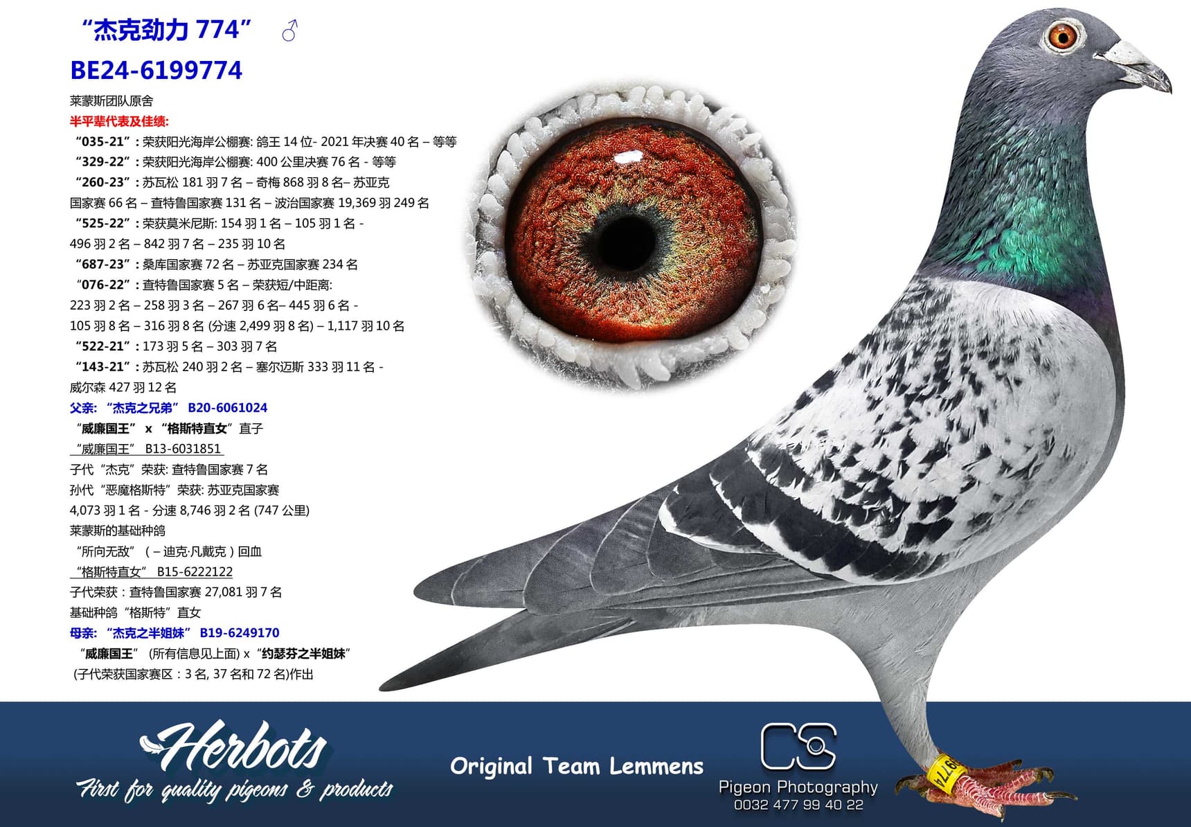pigeon: undefined