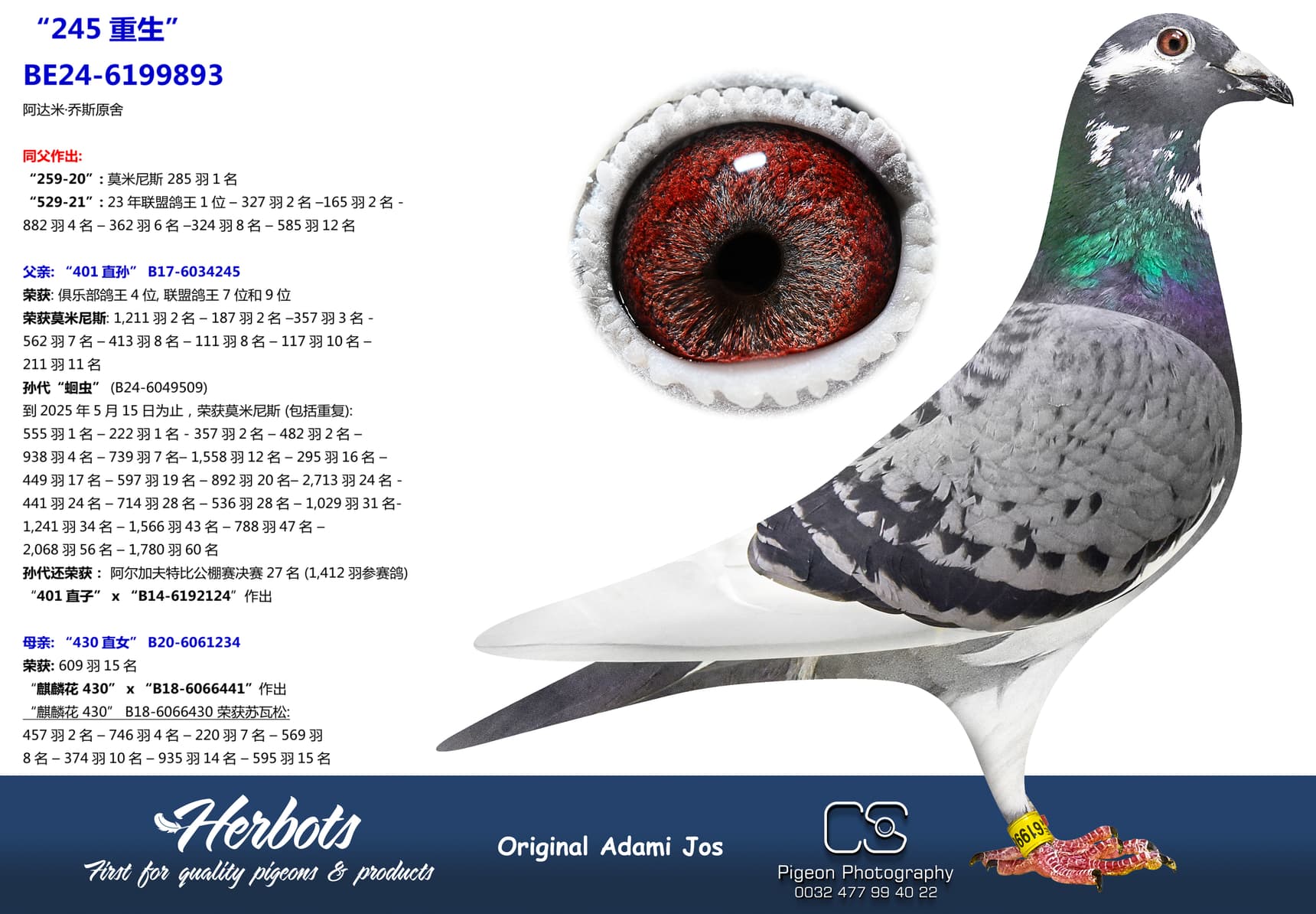 pigeon: undefined