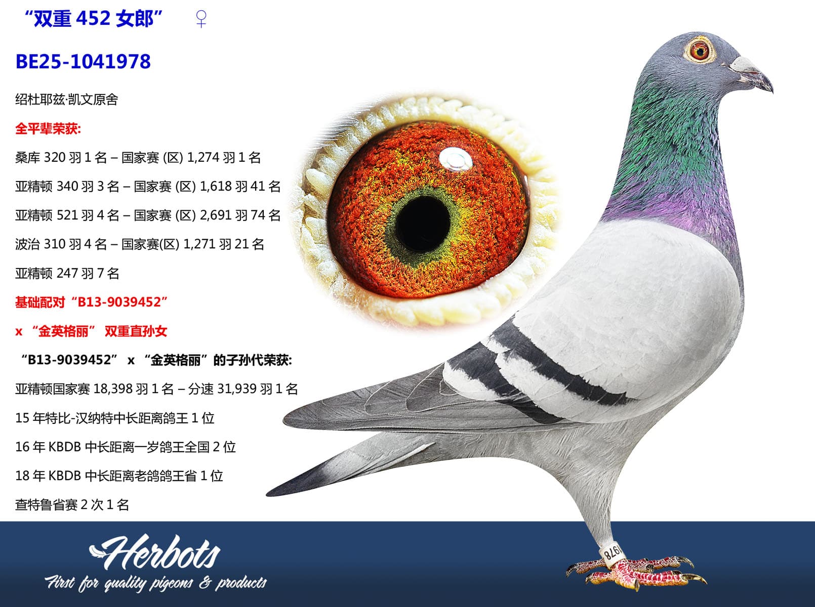 pigeon: undefined