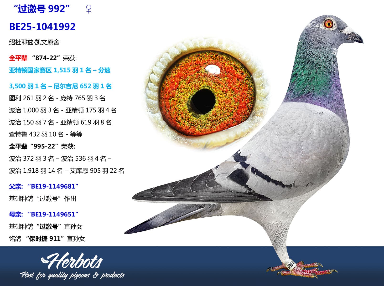 pigeon: undefined