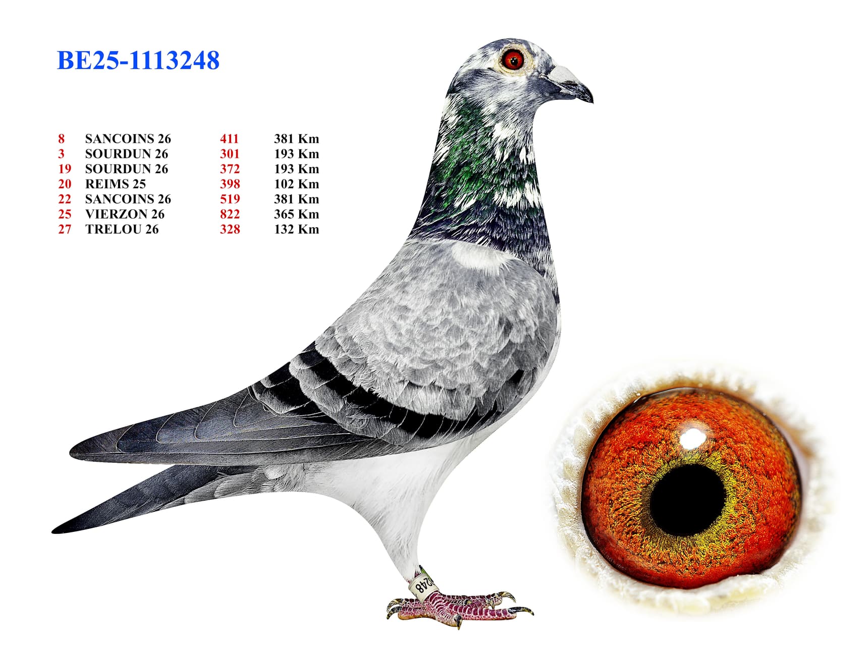 BE25-1113248