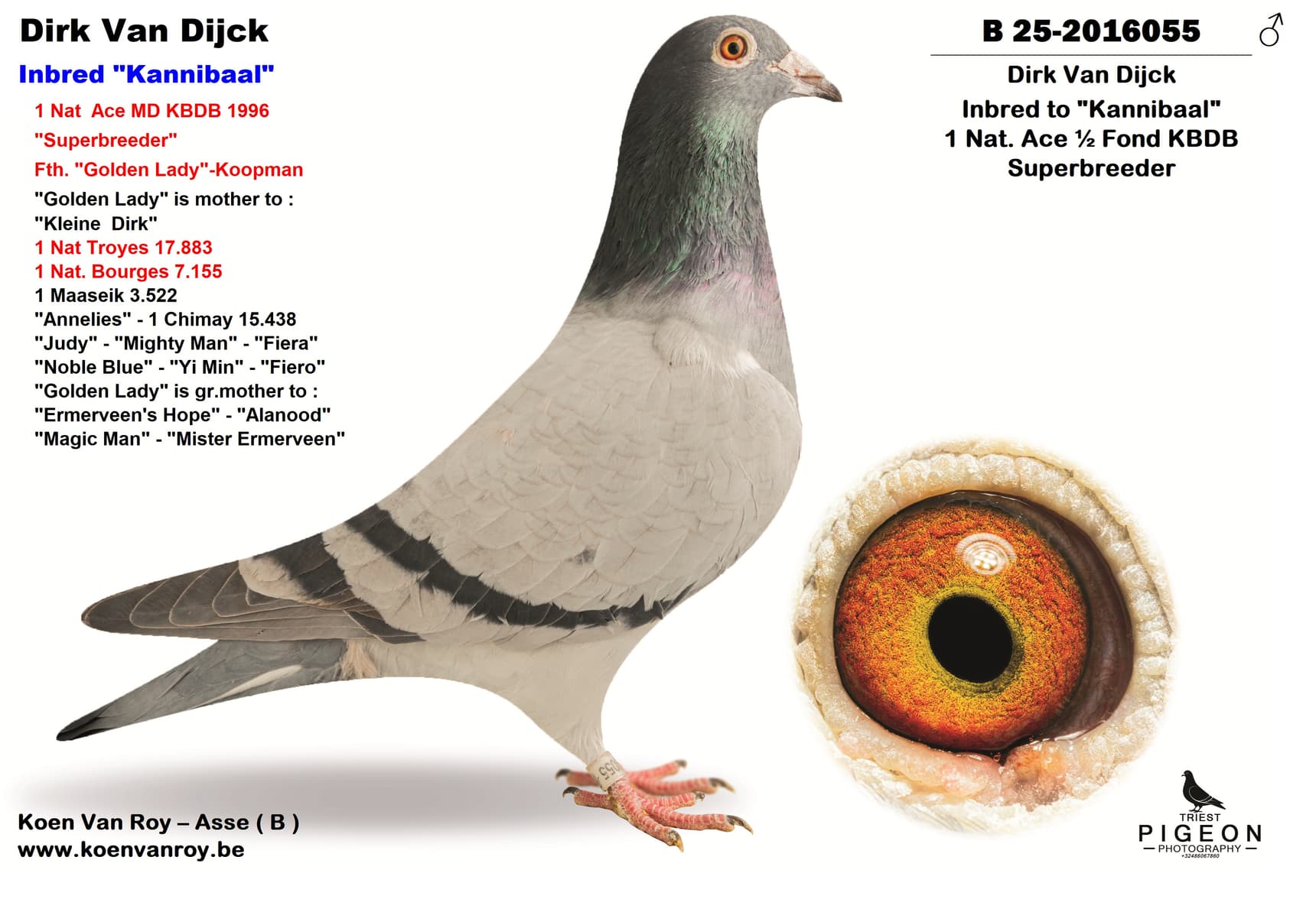 Dirk Van Dijck  Inbred "Kannibaal"