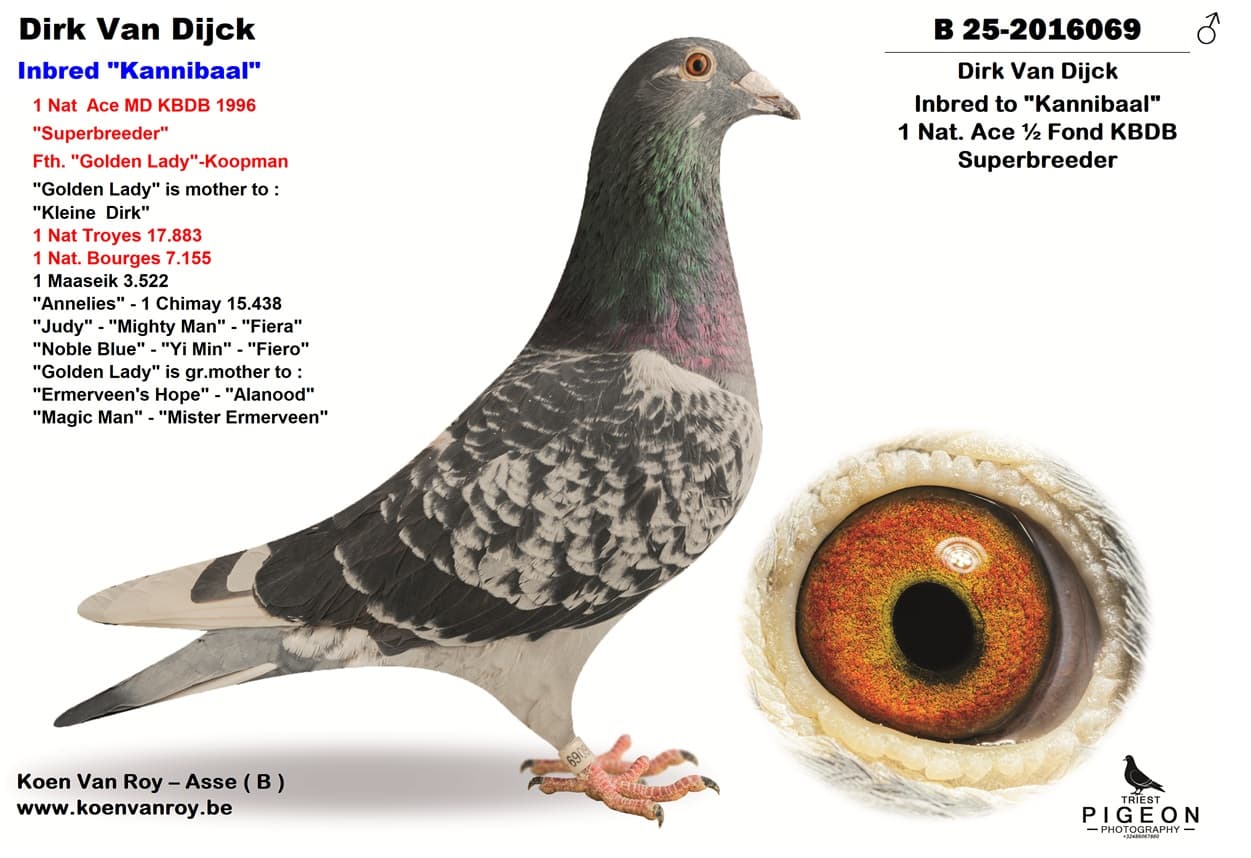 Inbred ‘Kannibaal’