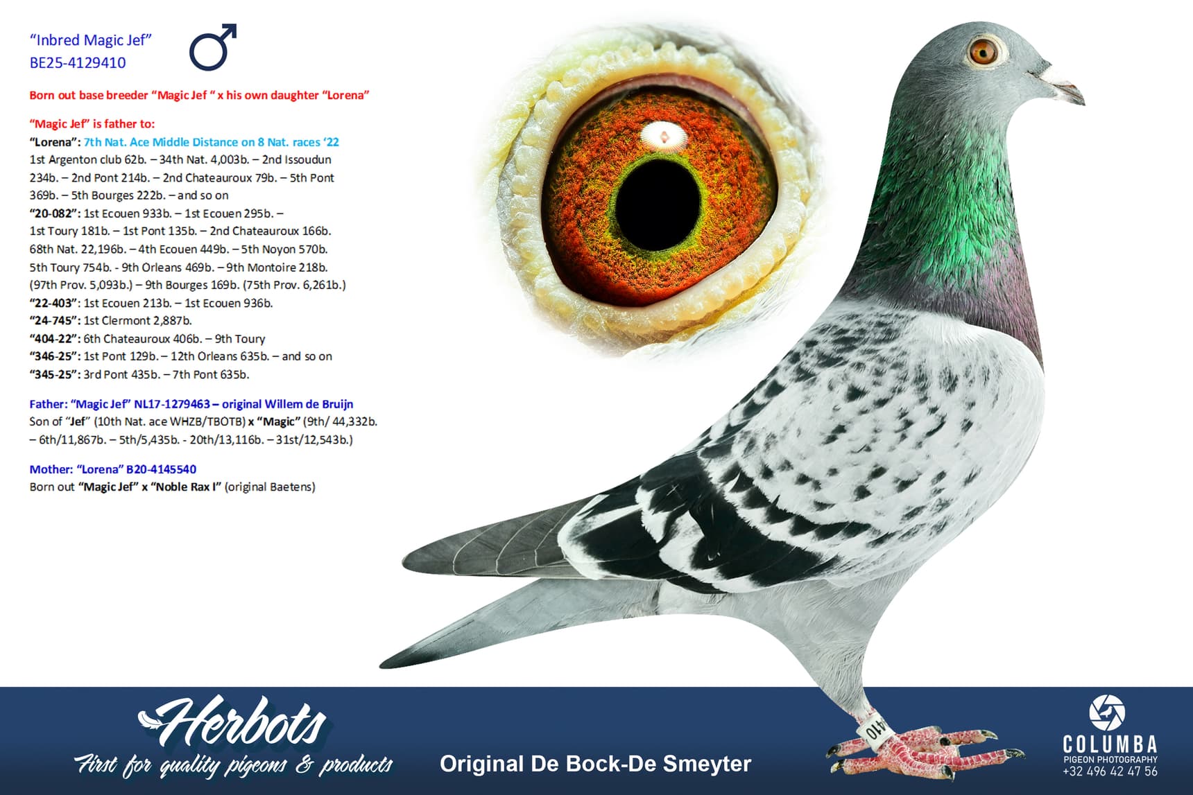pigeon: undefined