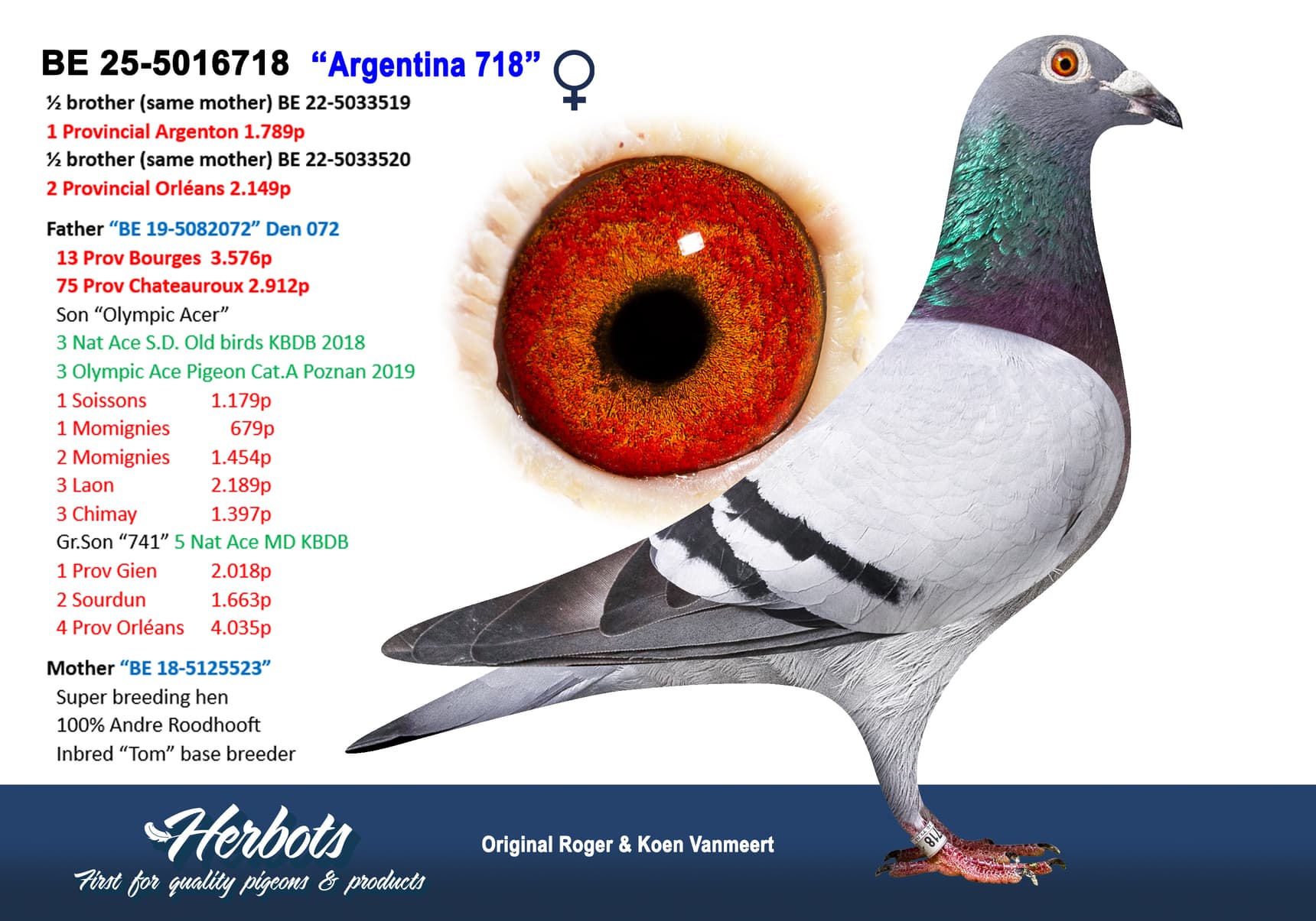‘Argentina 718’