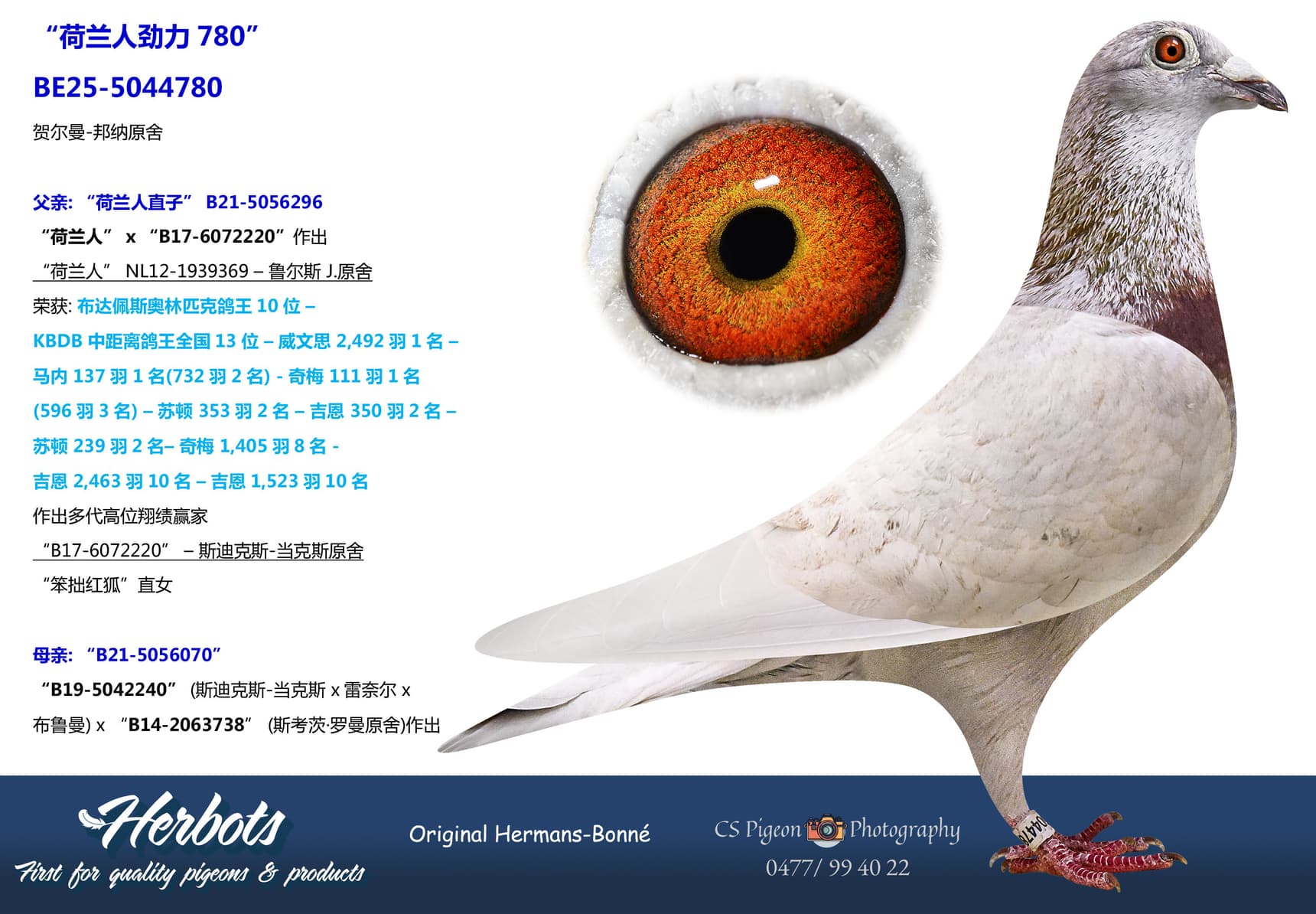 pigeon: undefined