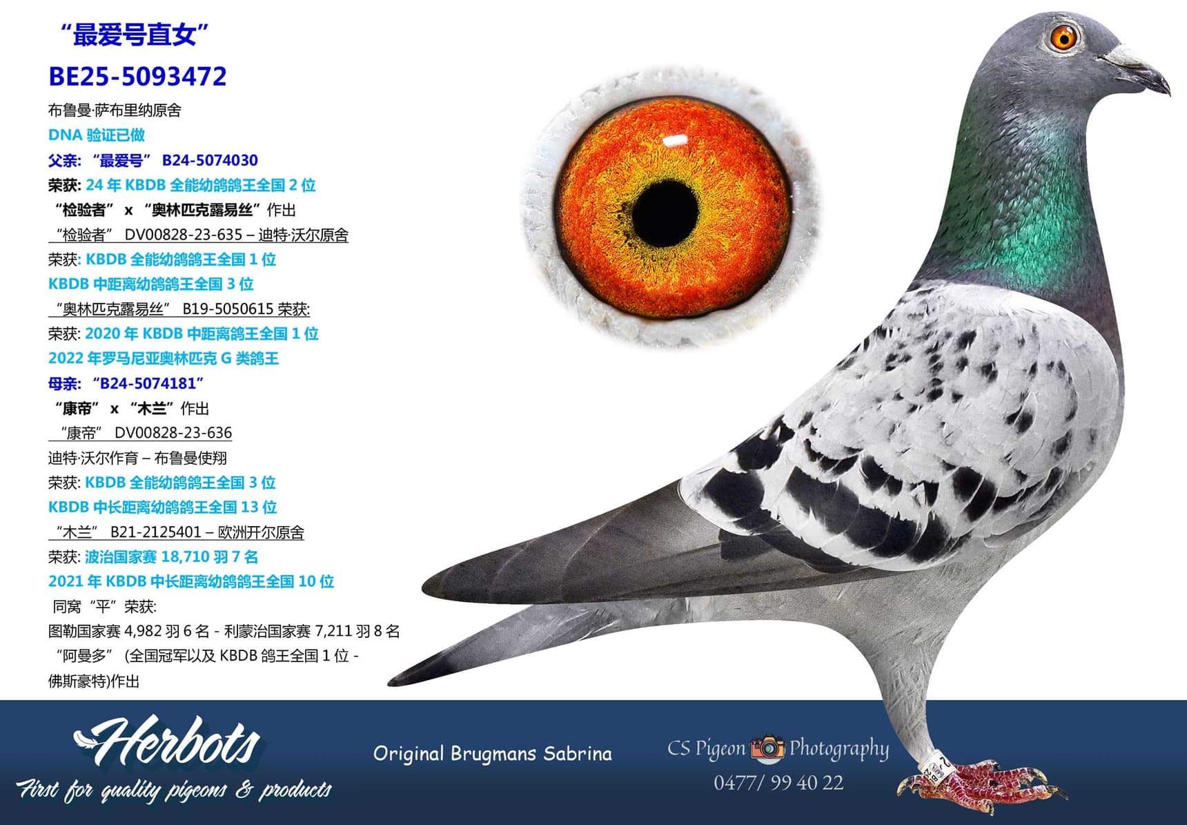 pigeon: undefined