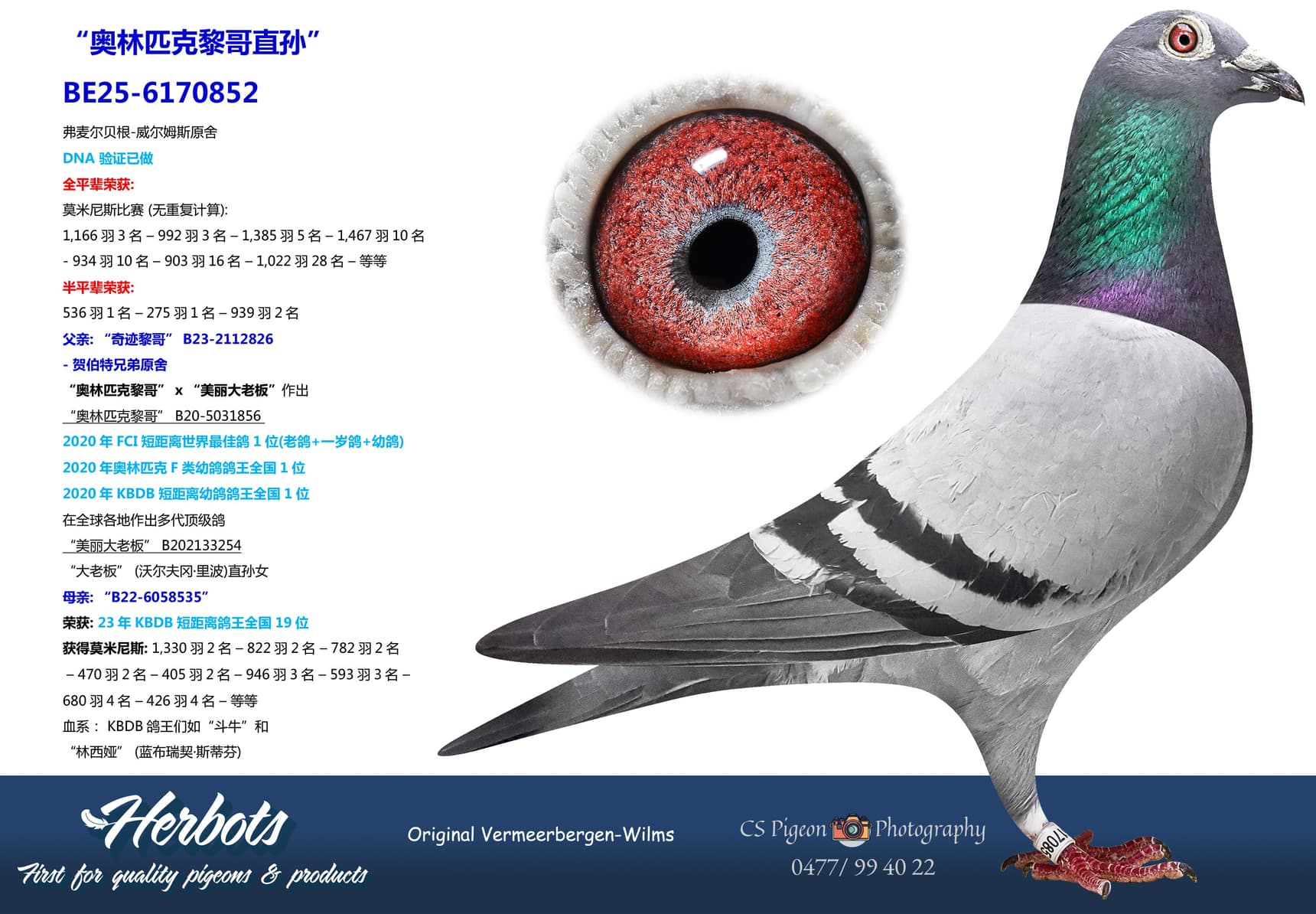 pigeon: undefined
