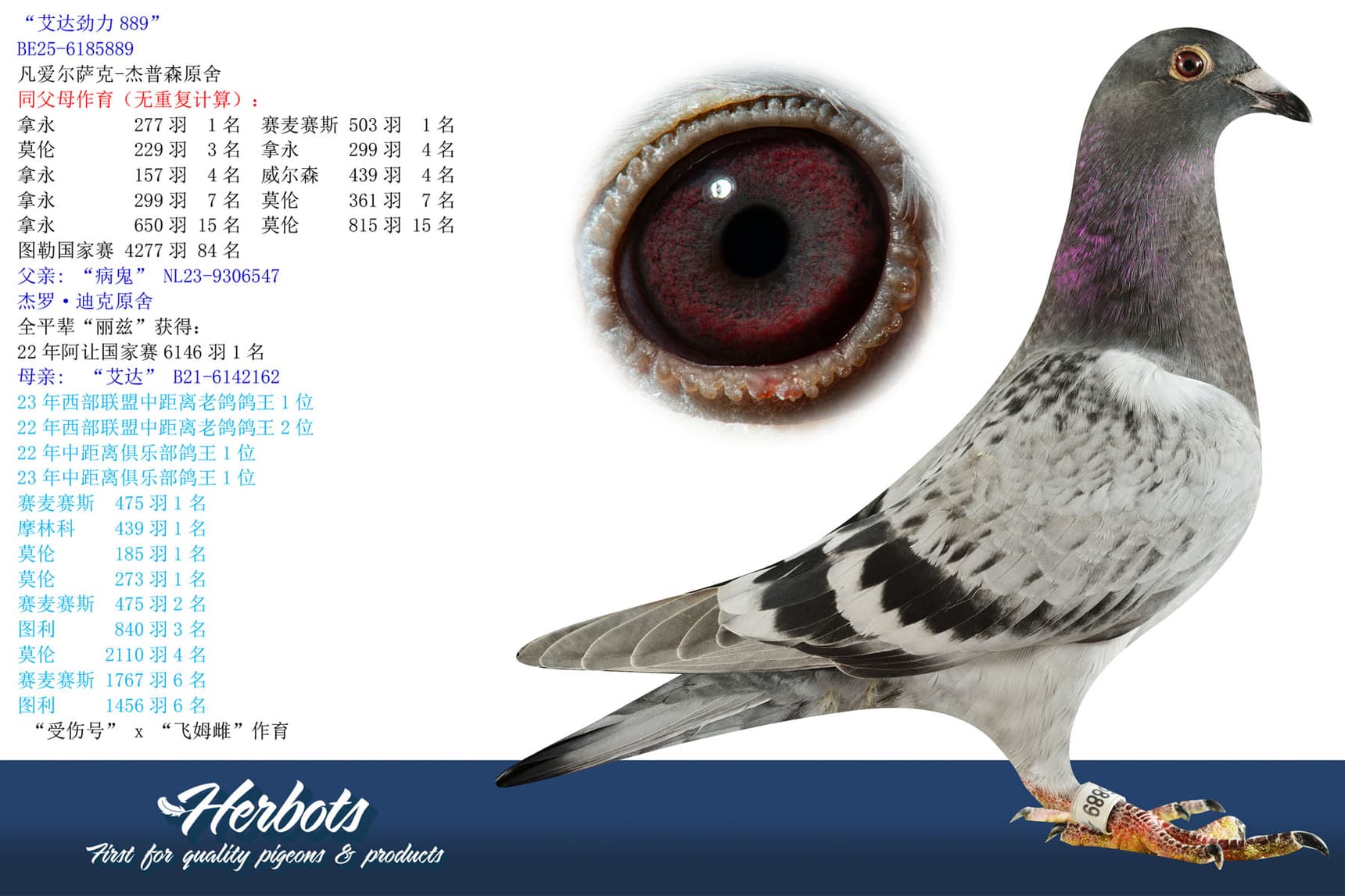 pigeon: undefined