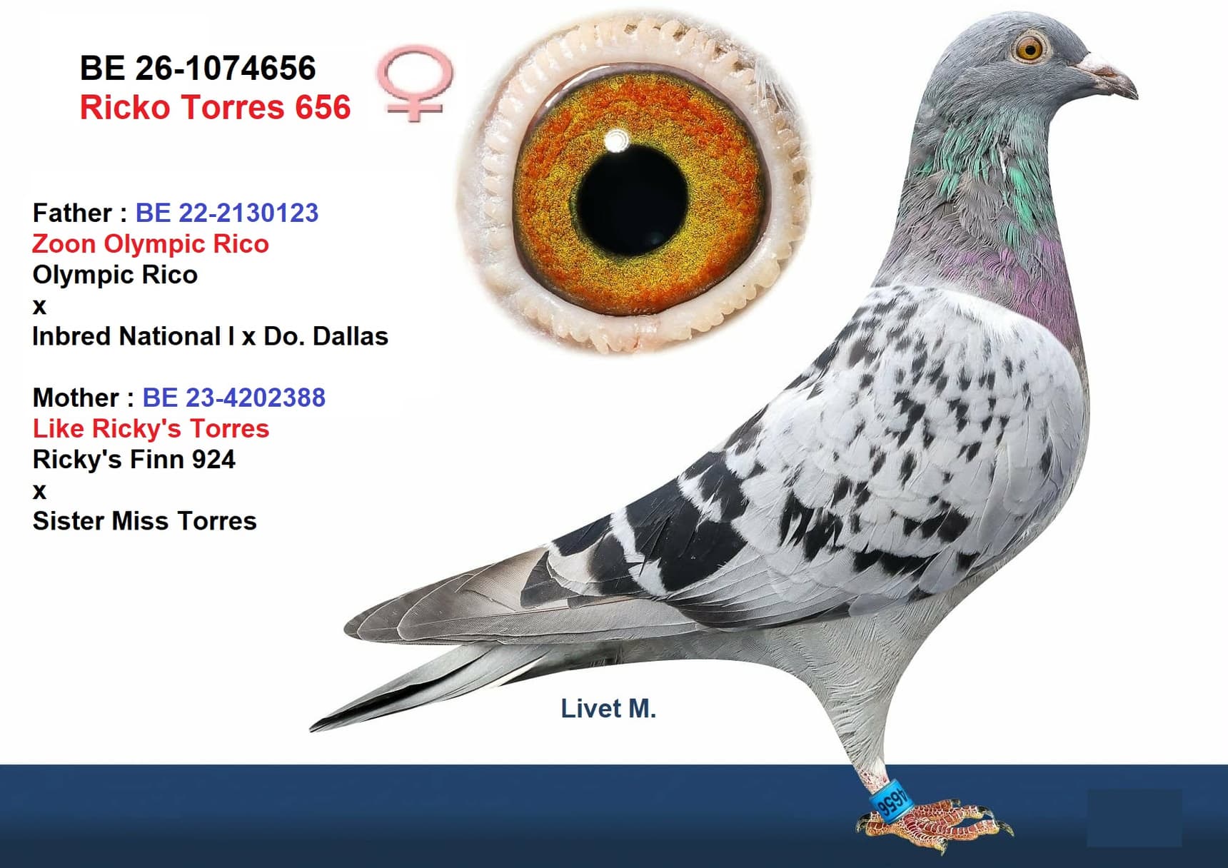 ‘Ricko Torres 656’