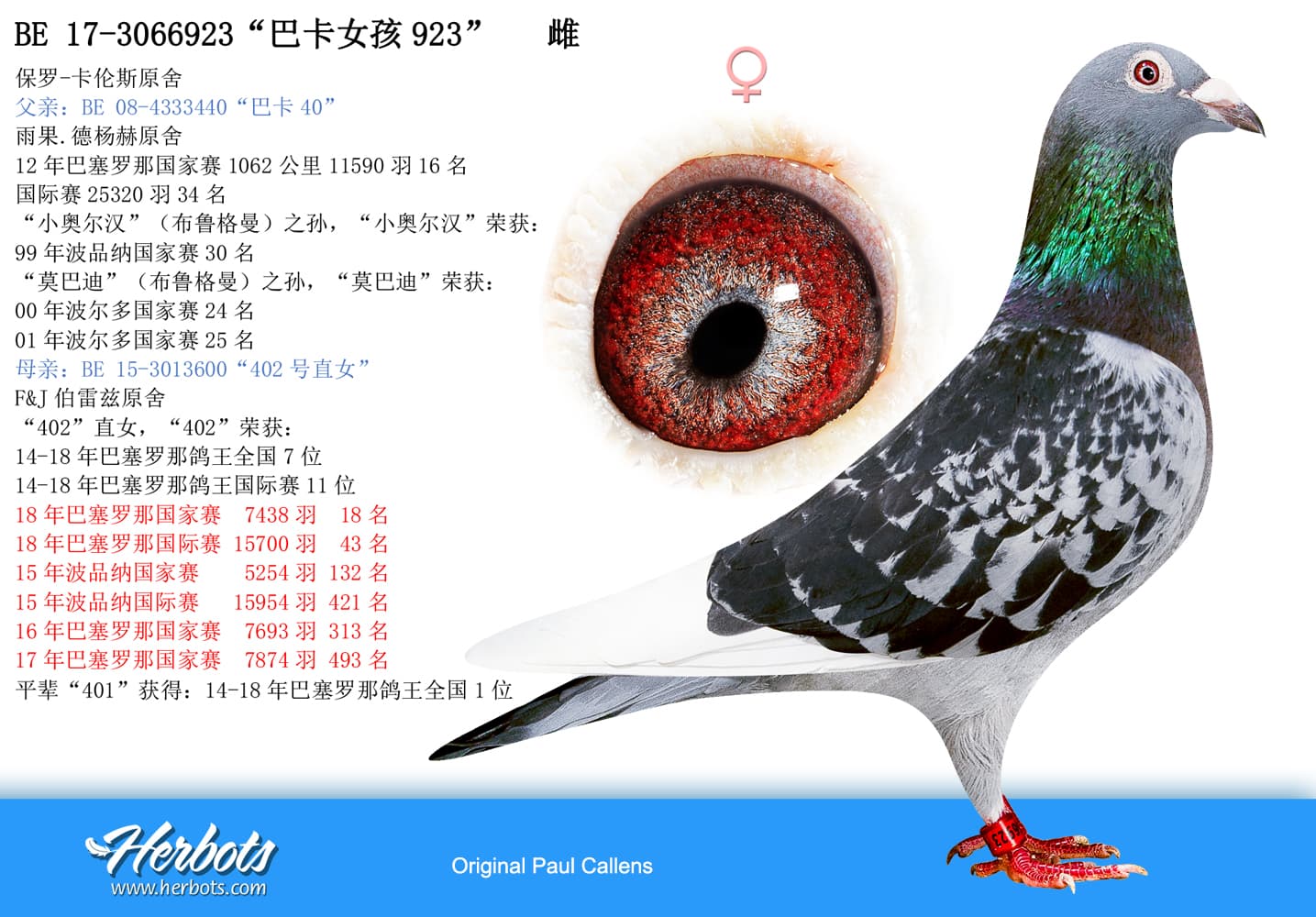 pigeon: undefined