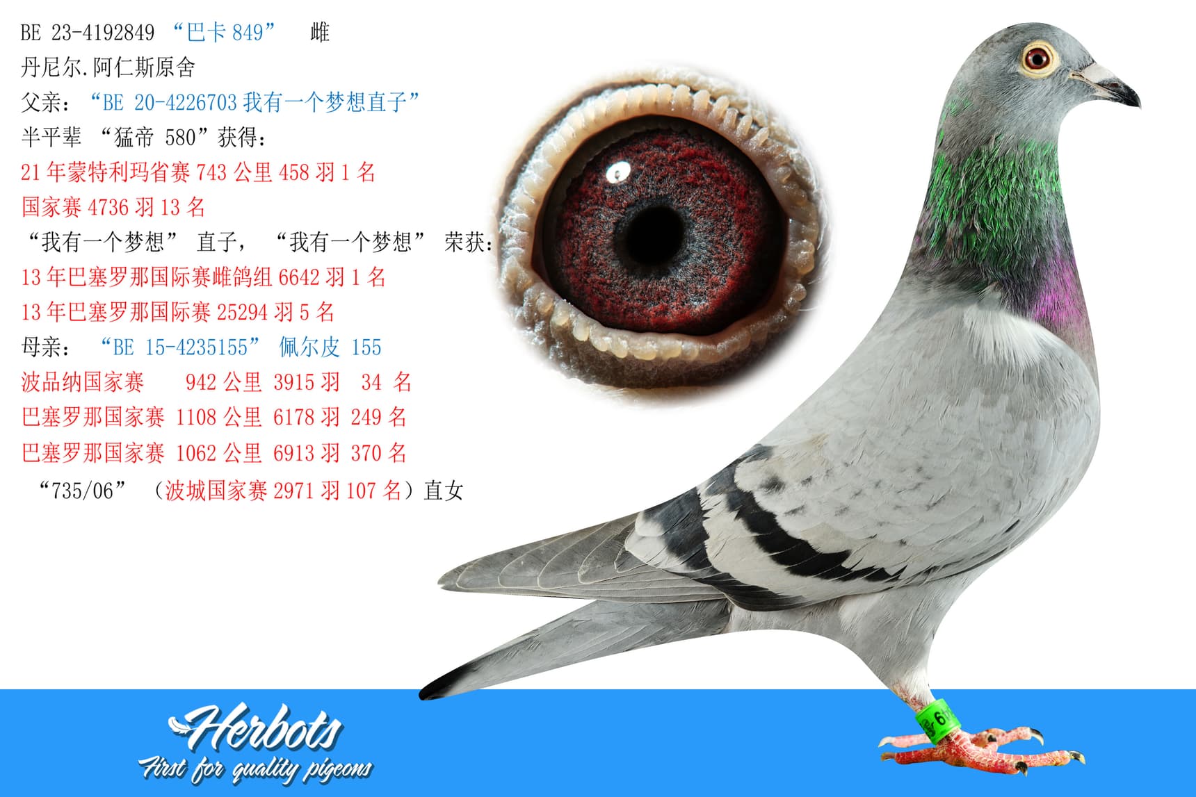 pigeon: undefined