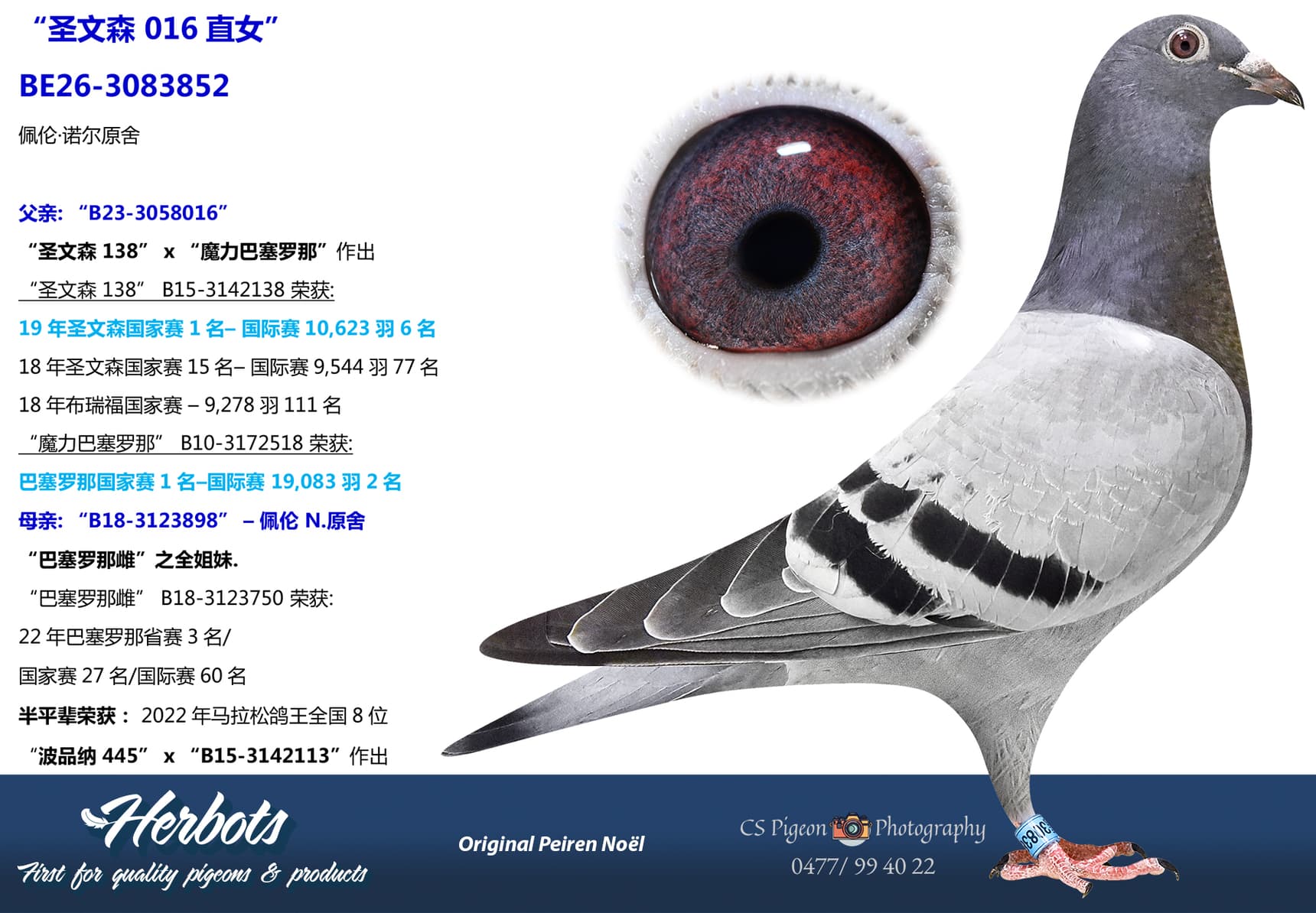 pigeon: undefined