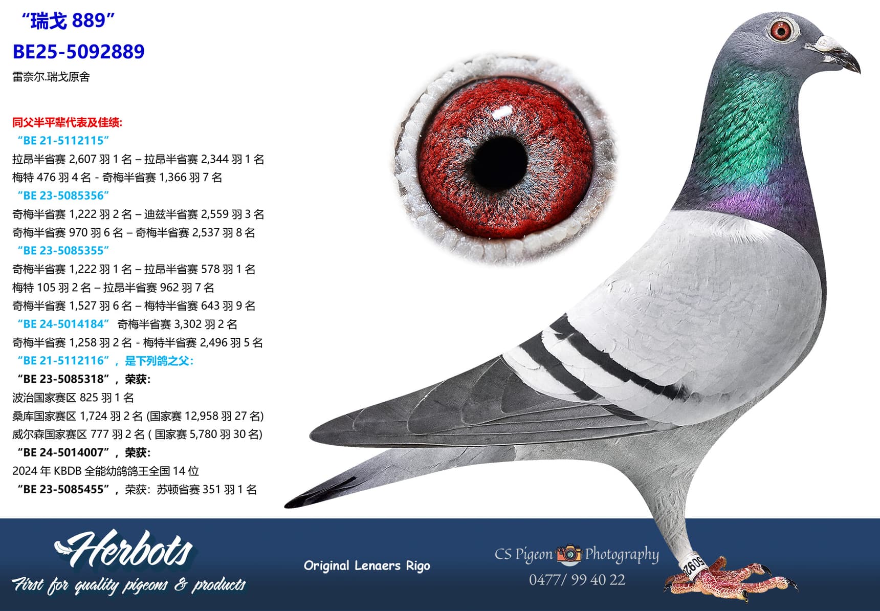 pigeon: undefined