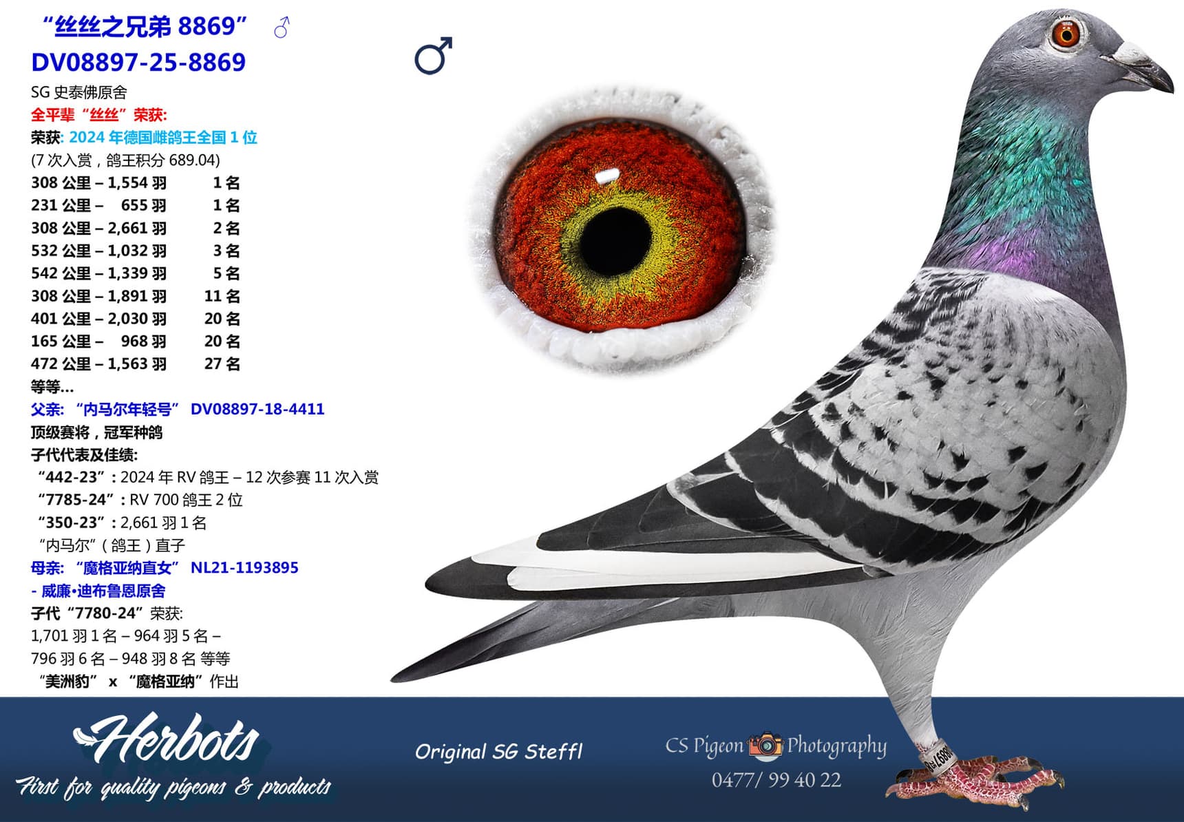 pigeon: undefined