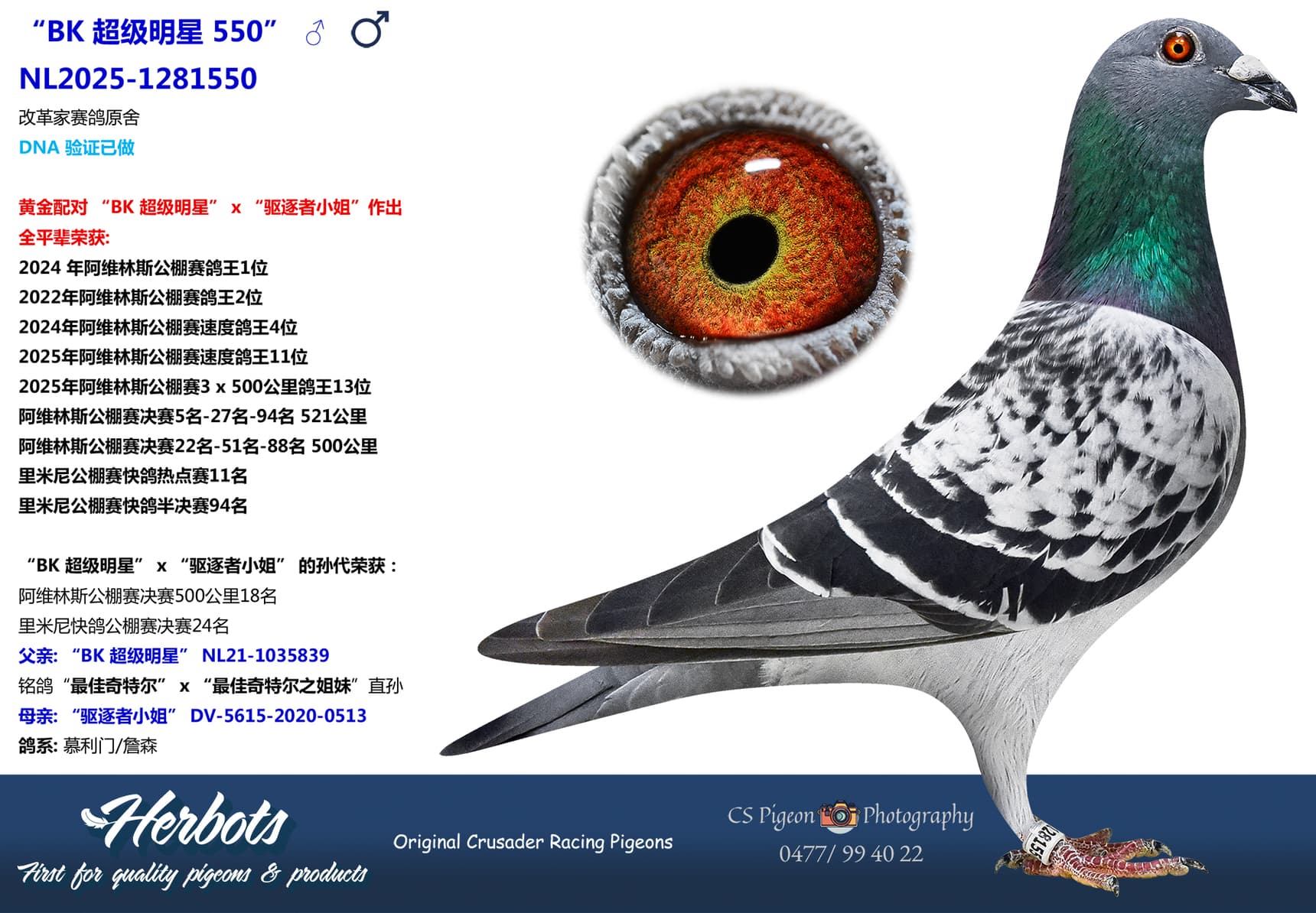 pigeon: undefined