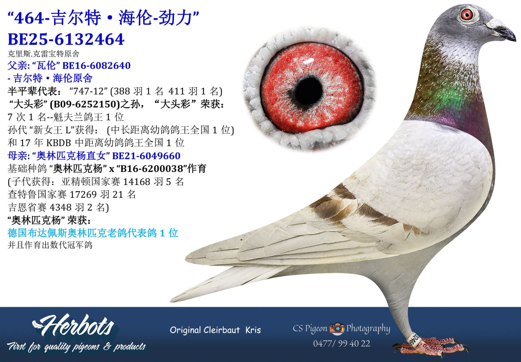 pigeon: undefined