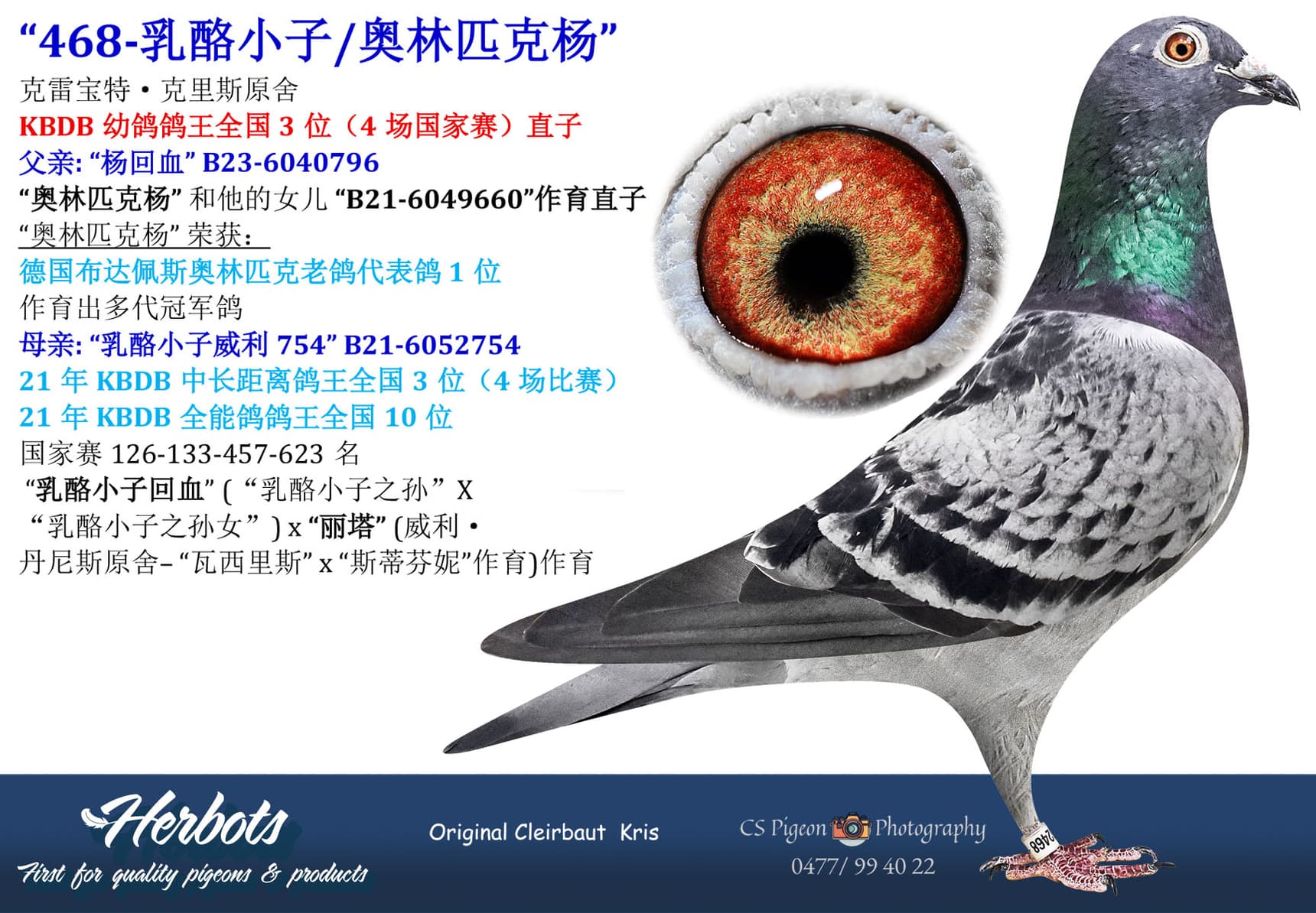 pigeon: undefined