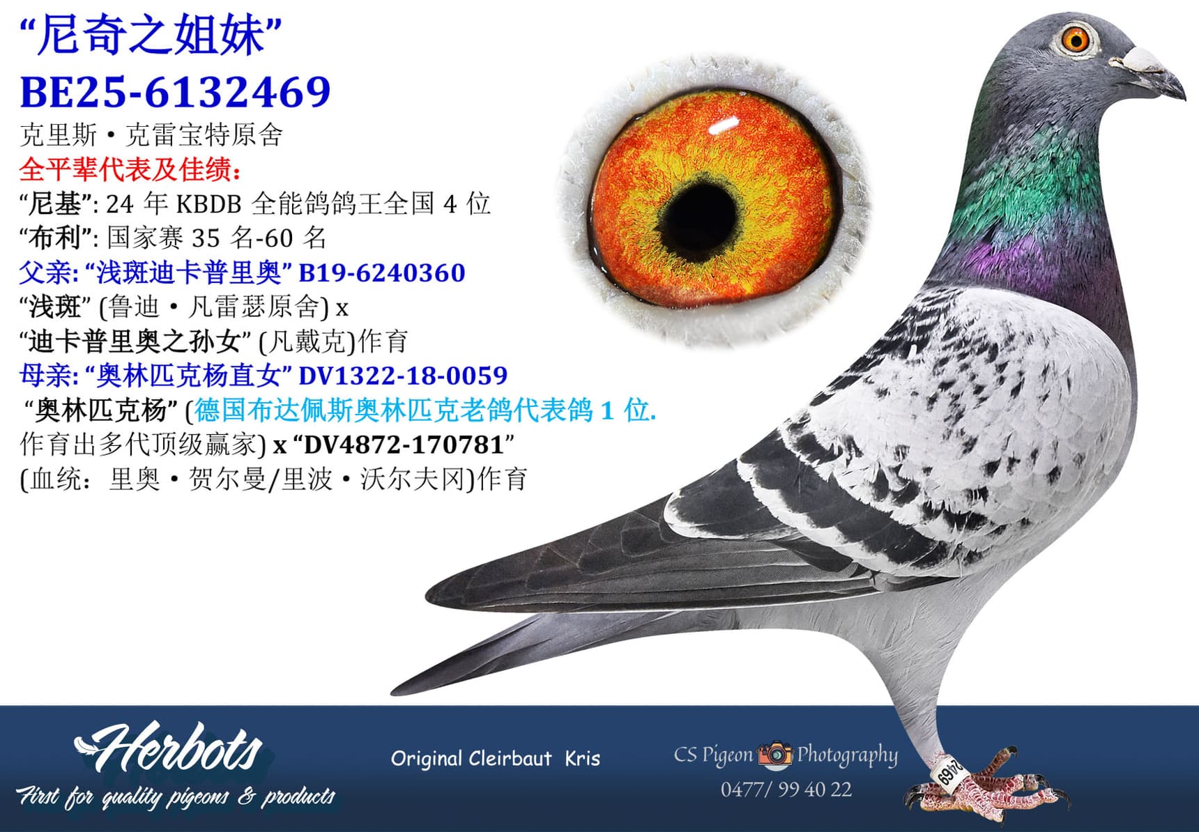 pigeon: undefined