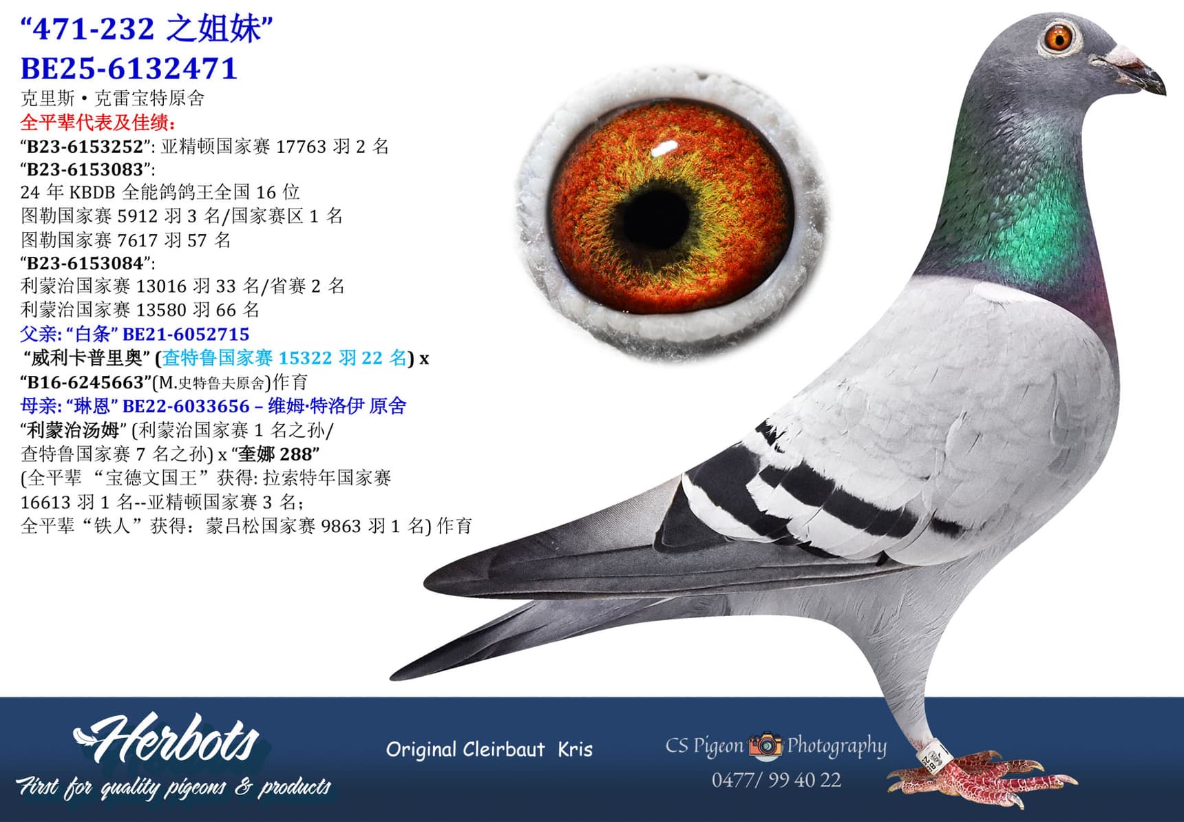 pigeon: undefined