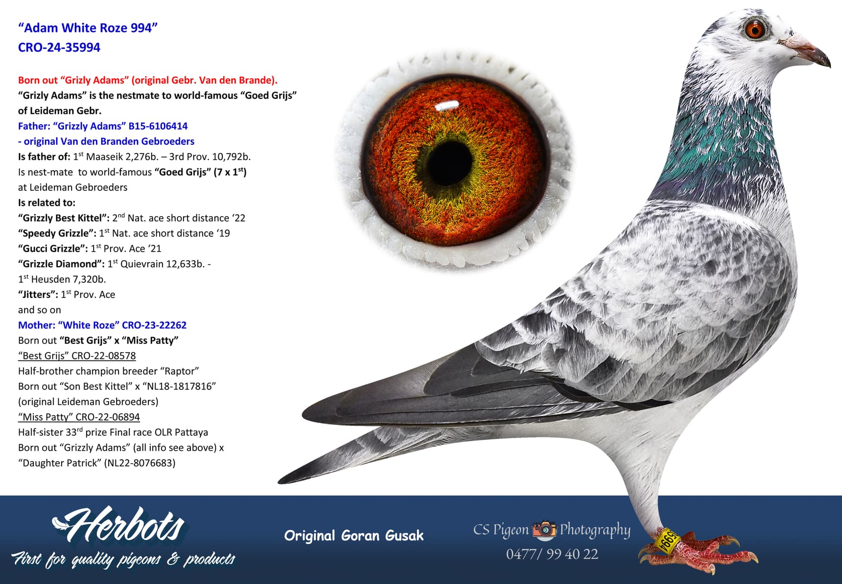 pigeon: undefined