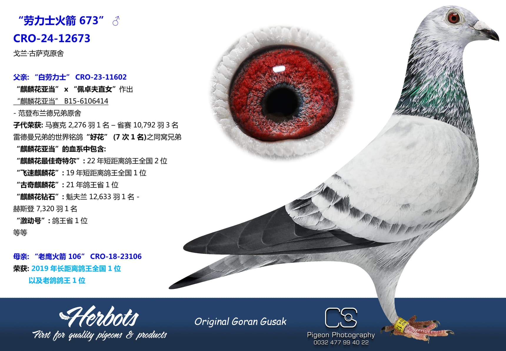 pigeon: “劳力士火箭 673”